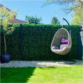 Small Green Wall - Evergreenery