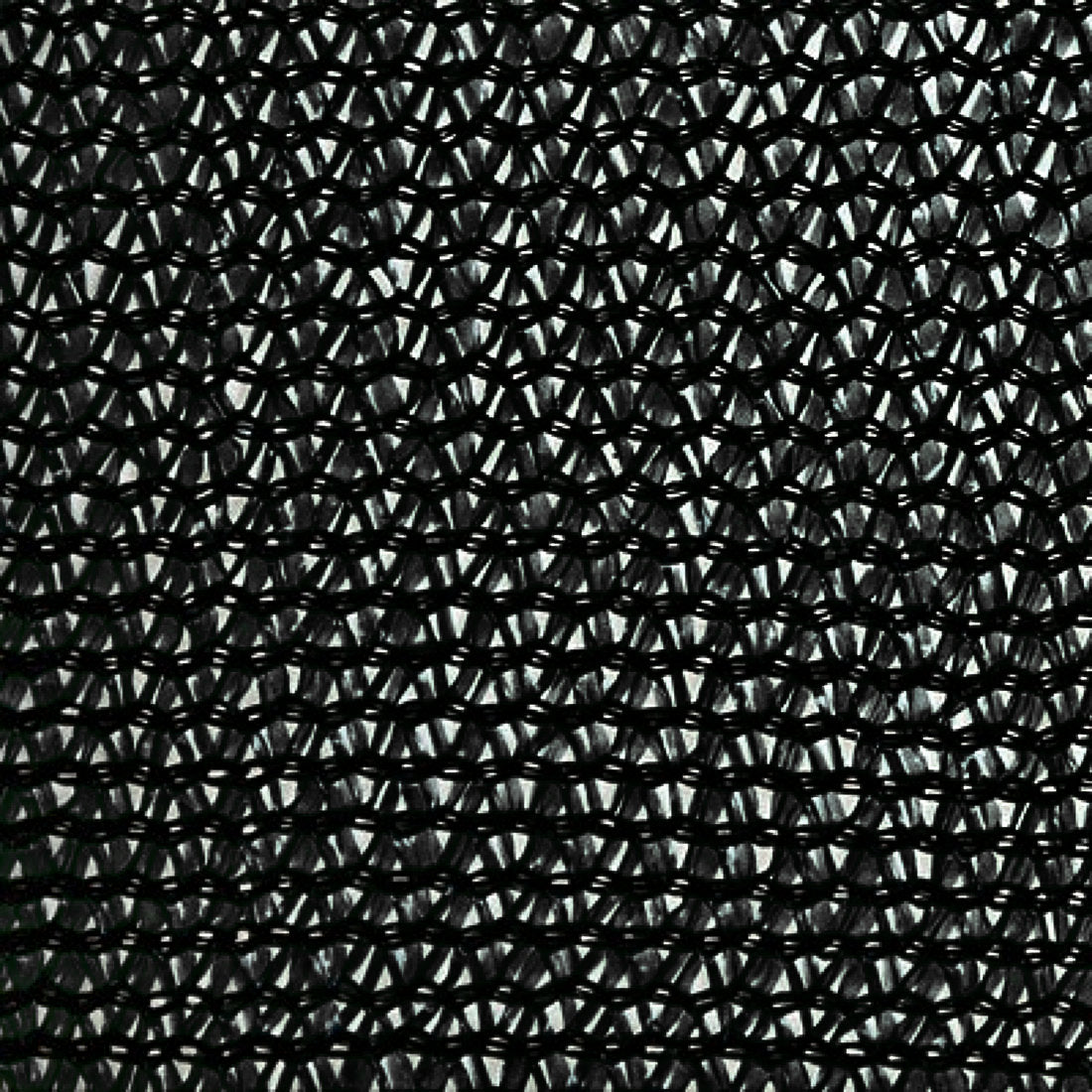 Privacy Backing Netting for Hedge and Green Wall