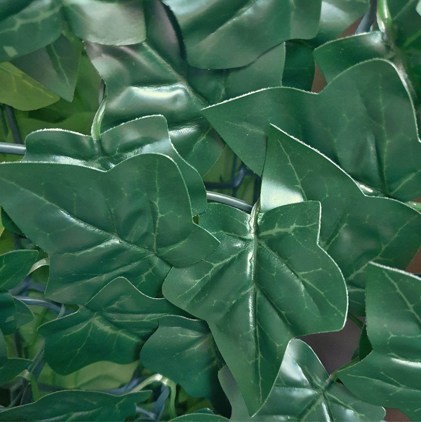 Premium Artificial Ivy Hedge Garden Fence Privacy Screening - Dark Green - Evergreenery