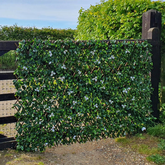 Premium Expanding Willow Trellis Artificial Laurel & White Flower - 1m x 2m - Evergreenery