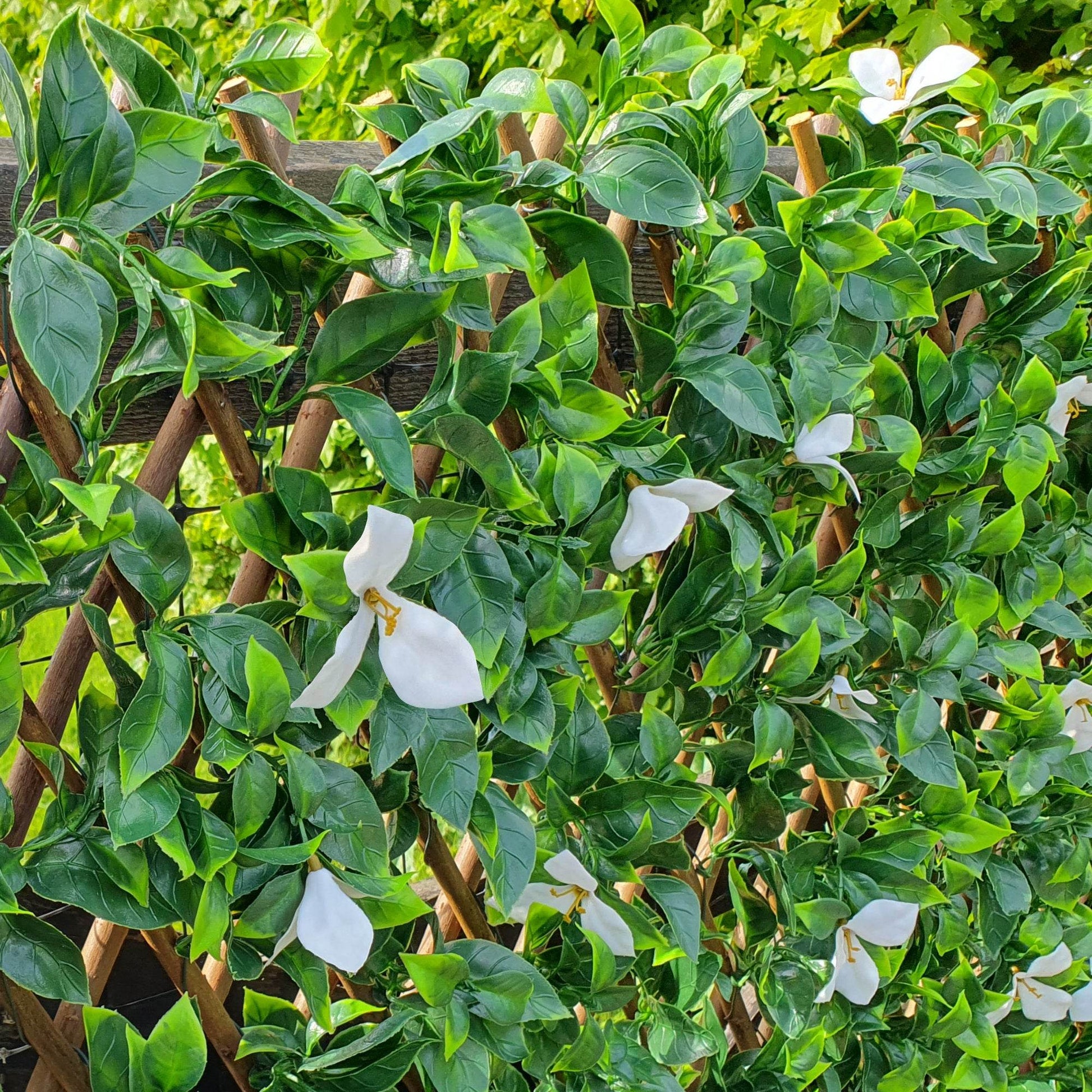 Premium Expanding Willow Trellis Artificial Laurel & White Flower - 1m x 2m - Evergreenery