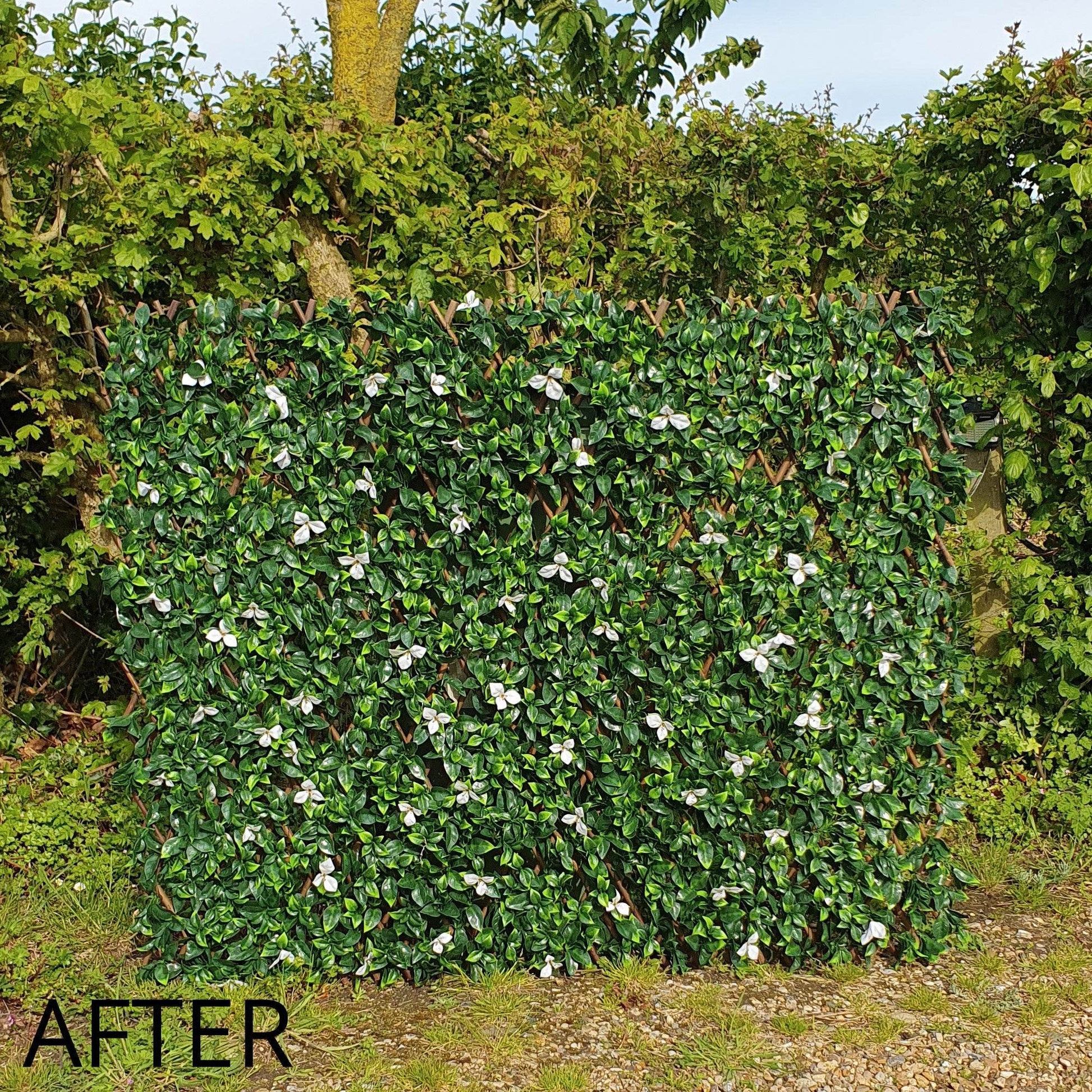 Premium Expanding Willow Trellis Artificial Laurel & White Flower - 1m x 2m - Evergreenery