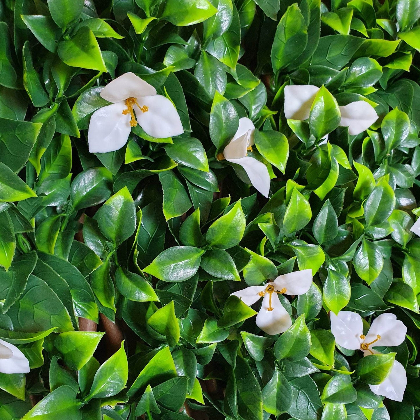 Premium Expanding Willow Trellis Artificial Laurel & White Flower - 1m x 2m - Evergreenery