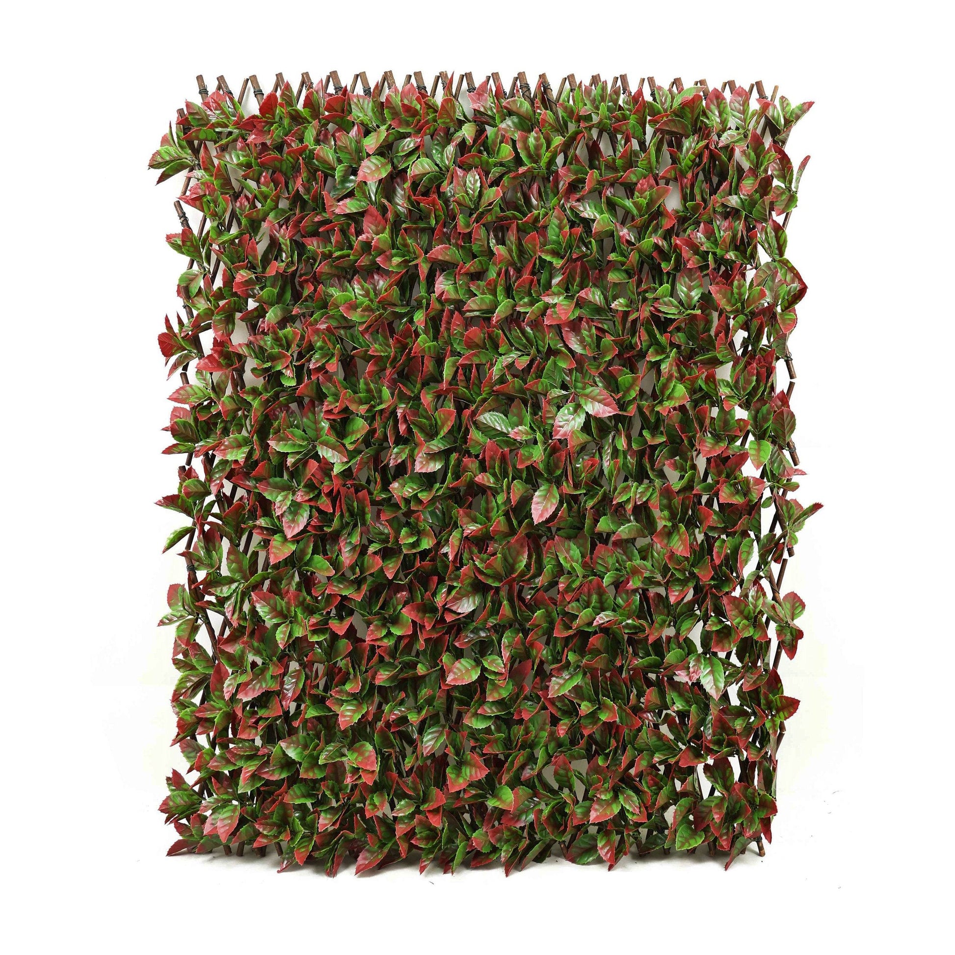 Premium Expanding Willow Trellis Artificial Photinia Red Robin - 1m x 2m - Evergreenery