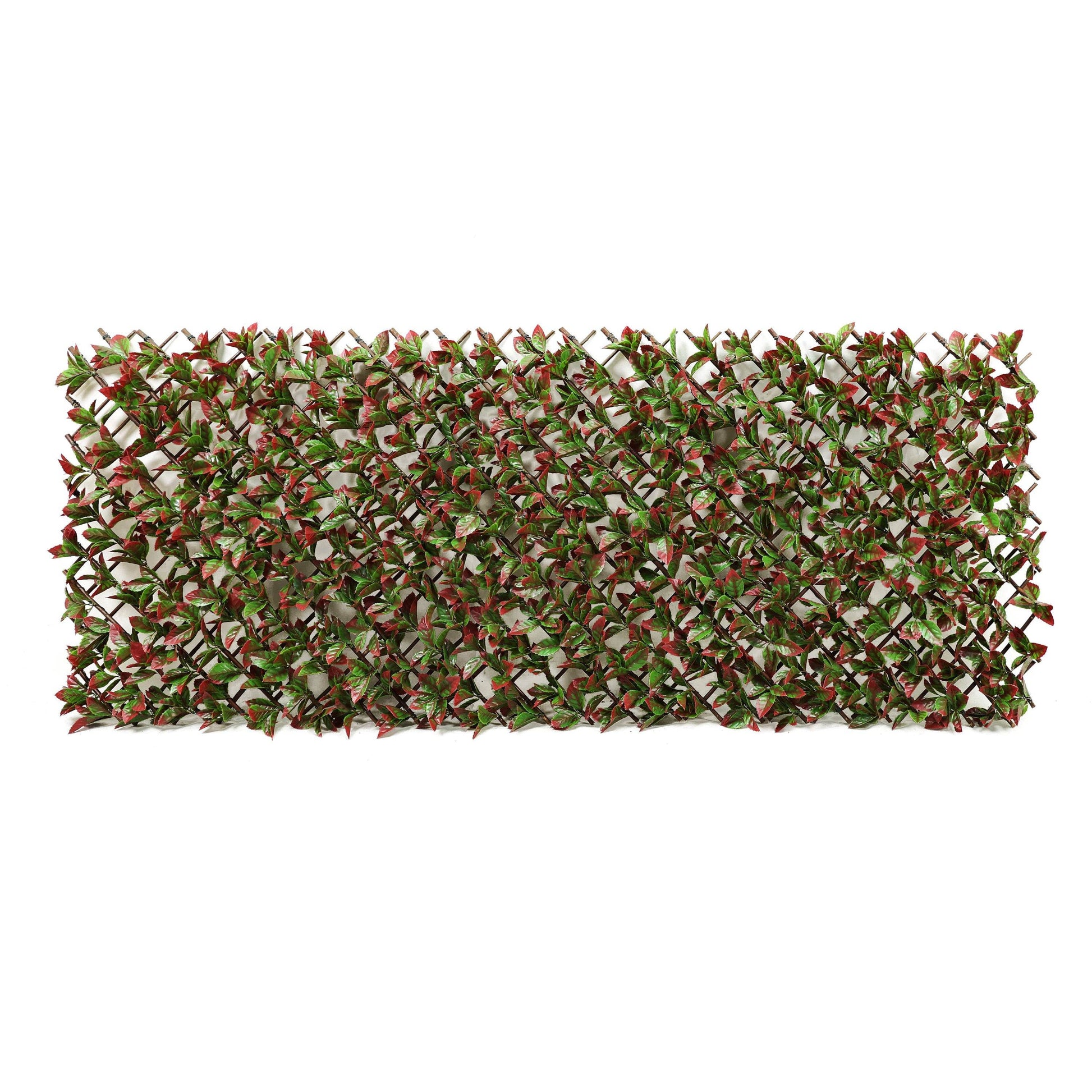 Premium Expanding Willow Trellis Artificial Photinia Red Robin - 1m x 2m - Evergreenery