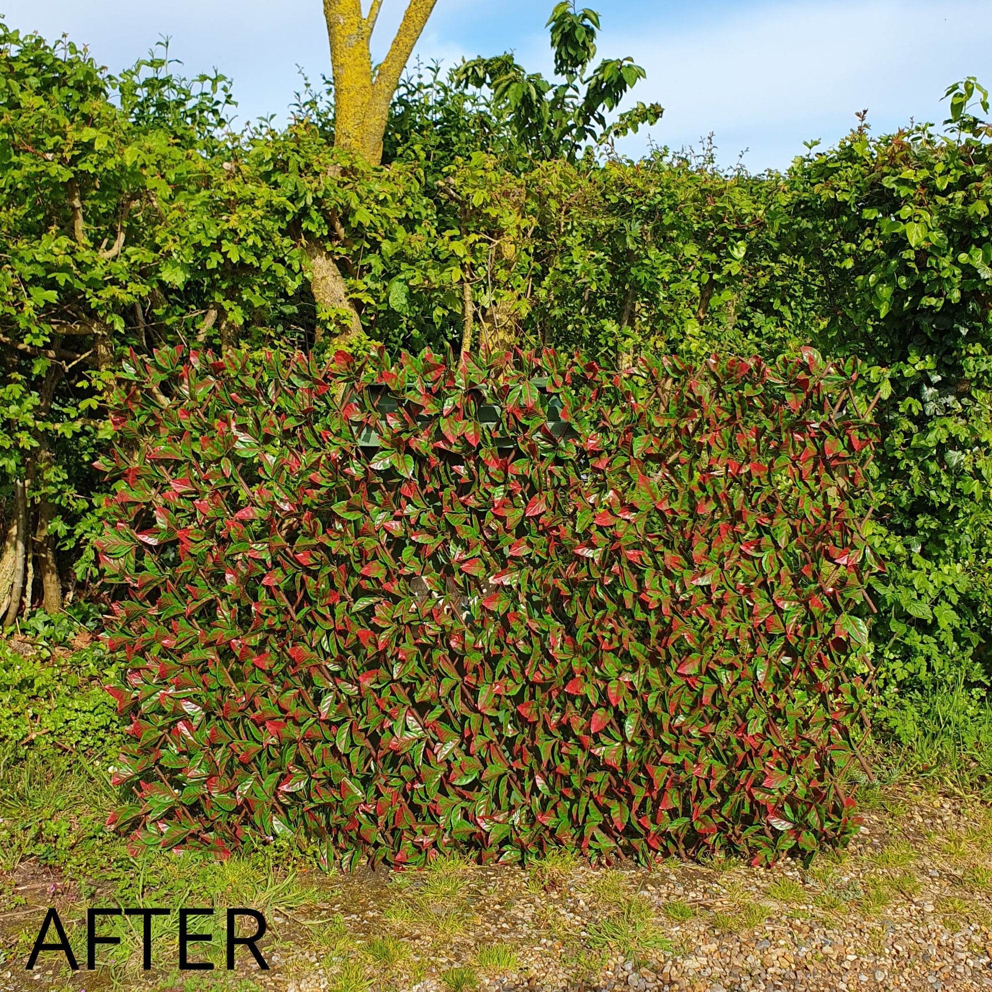 Premium Expanding Willow Trellis Artificial Photinia Red Robin - 1m x 2m - Evergreenery