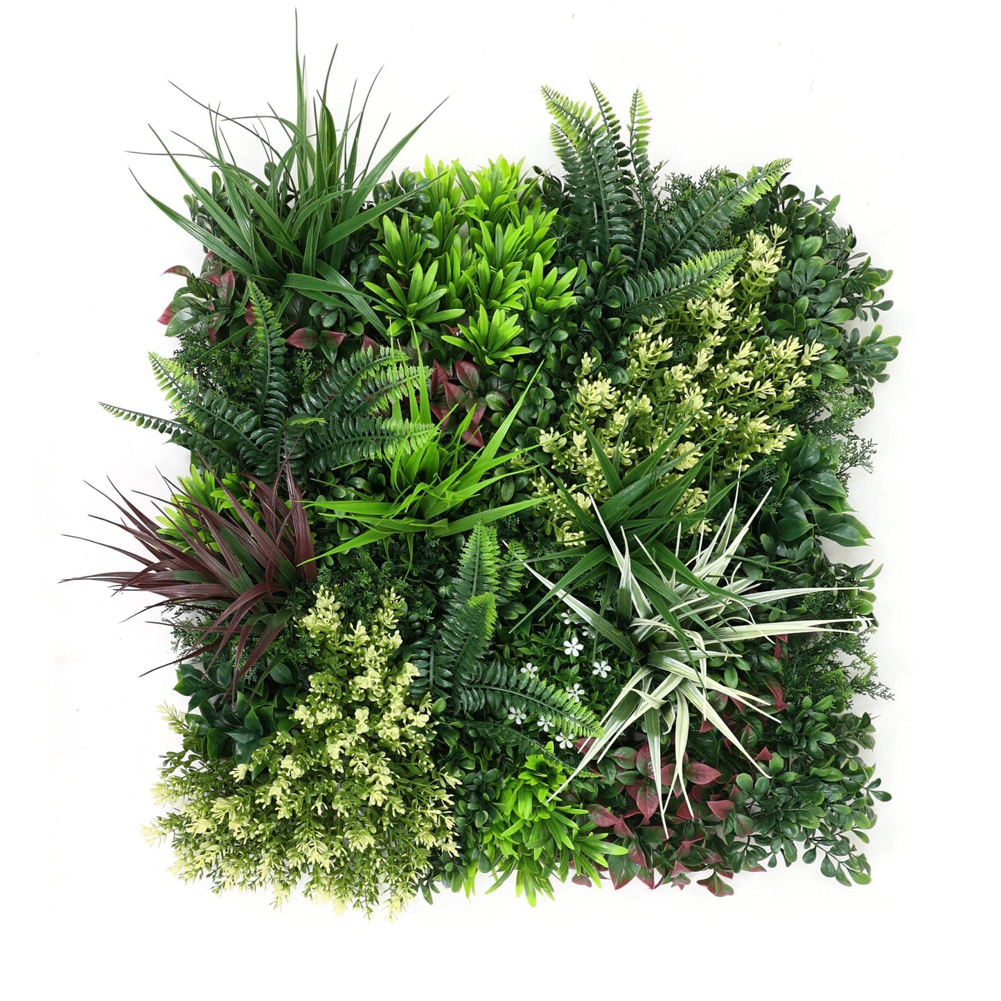 Premium Artificial Plants Green Wall Panel 50 x 50cm - Carnival A - Evergreenery