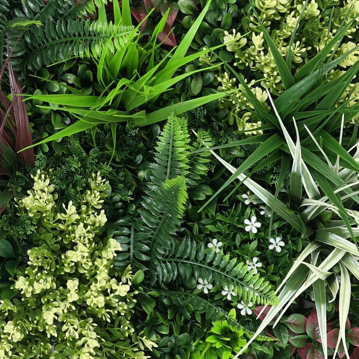 Premium Artificial Plants Green Wall Panel 50 x 50cm - Carnival A - Evergreenery