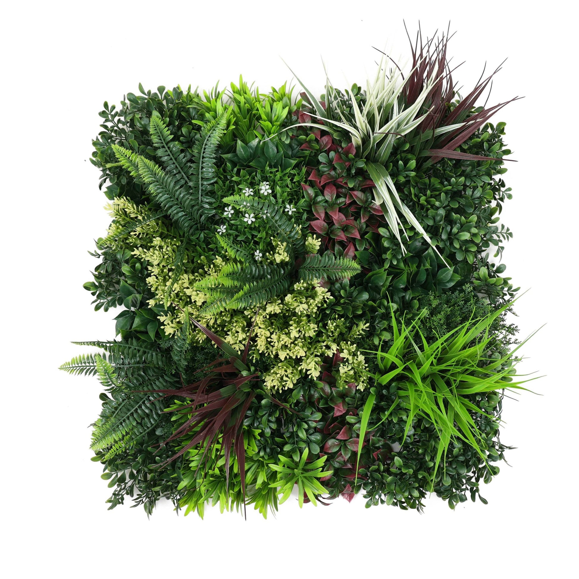 Premium Artificial Plants Green Wall Panel 50 x 50cm - Carnival C - Evergreenery