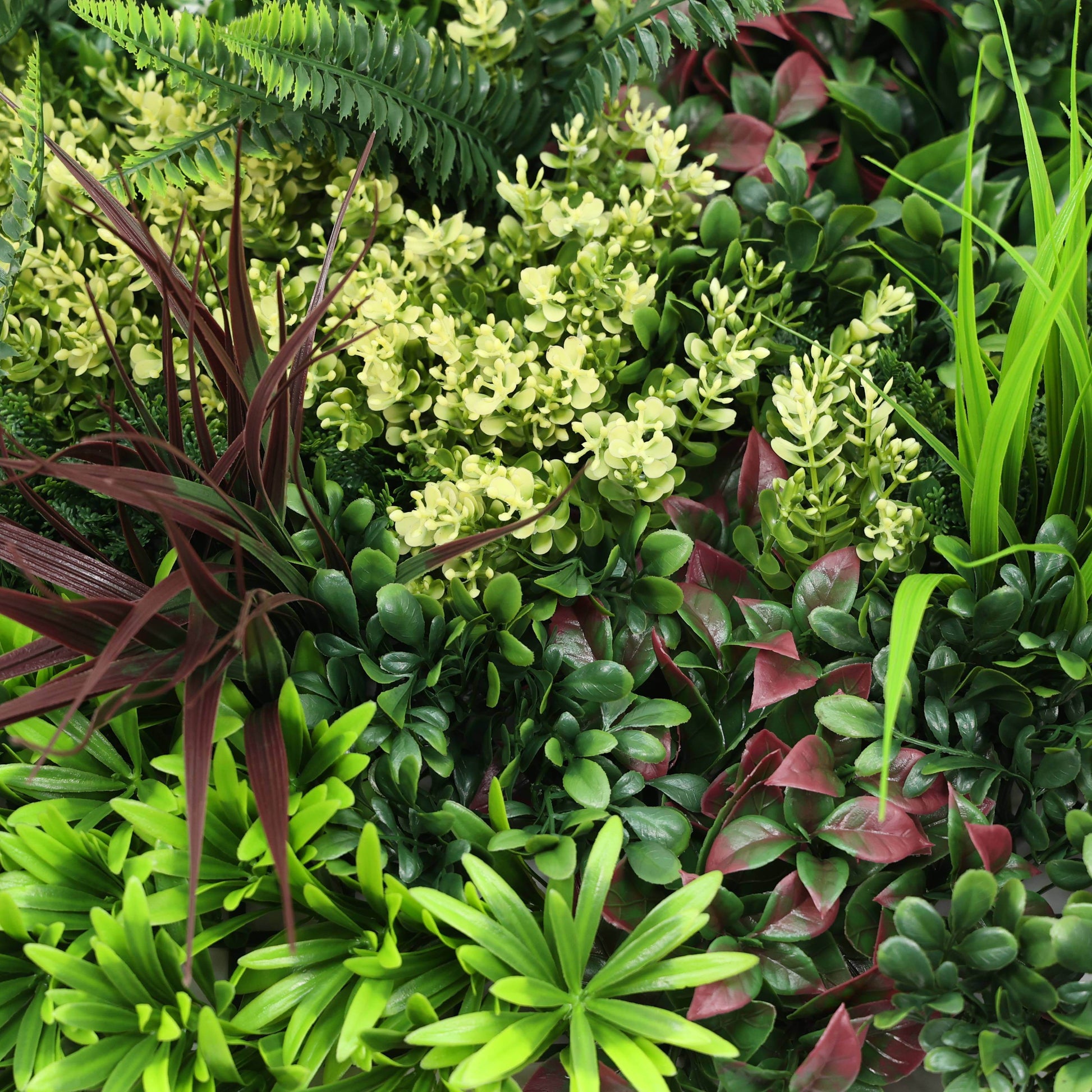 Premium Artificial Plants Green Wall Panel 50 x 50cm - Carnival C - Evergreenery
