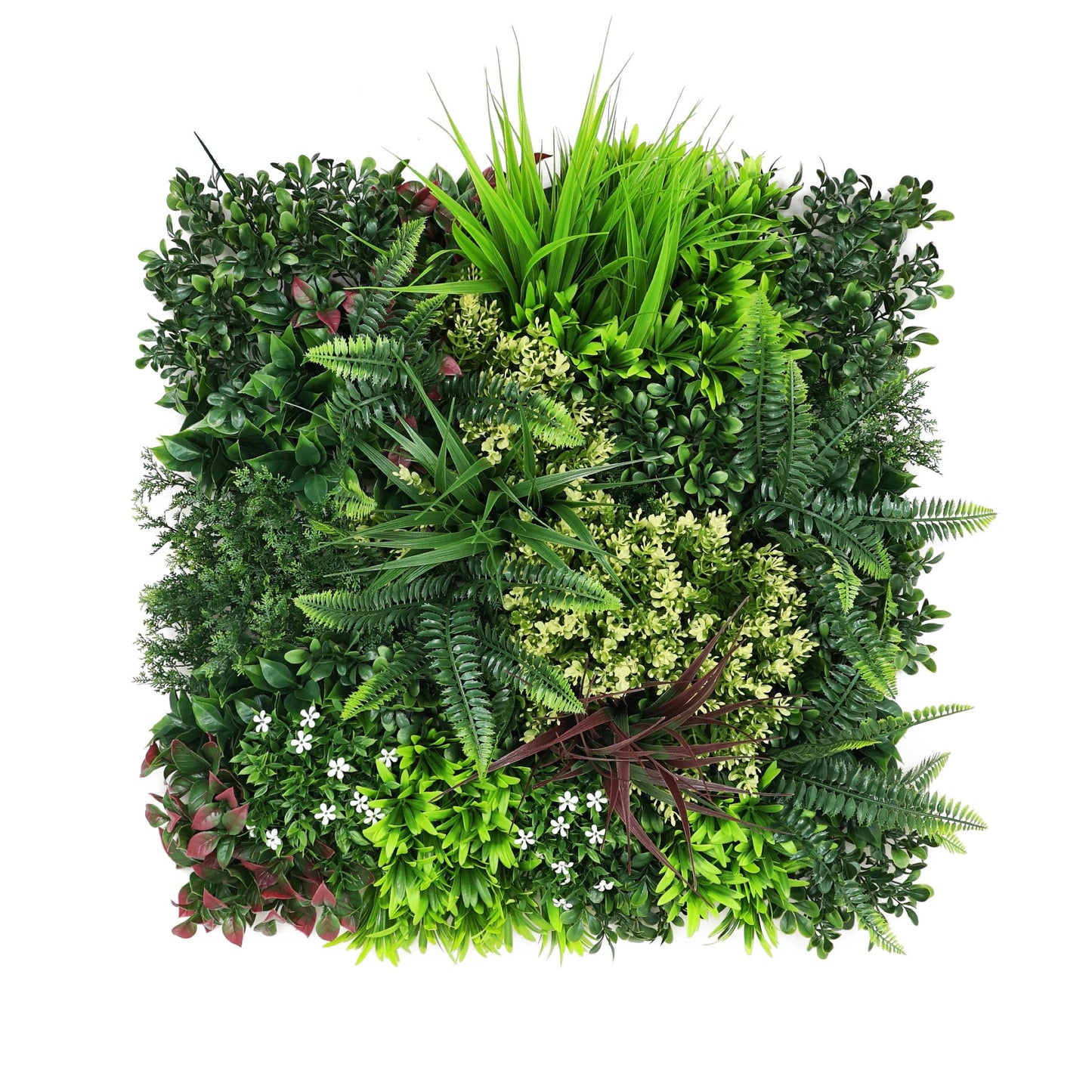 Premium Artificial Plants Green Wall Panel 50 x 50cm - Carnival D - Evergreenery