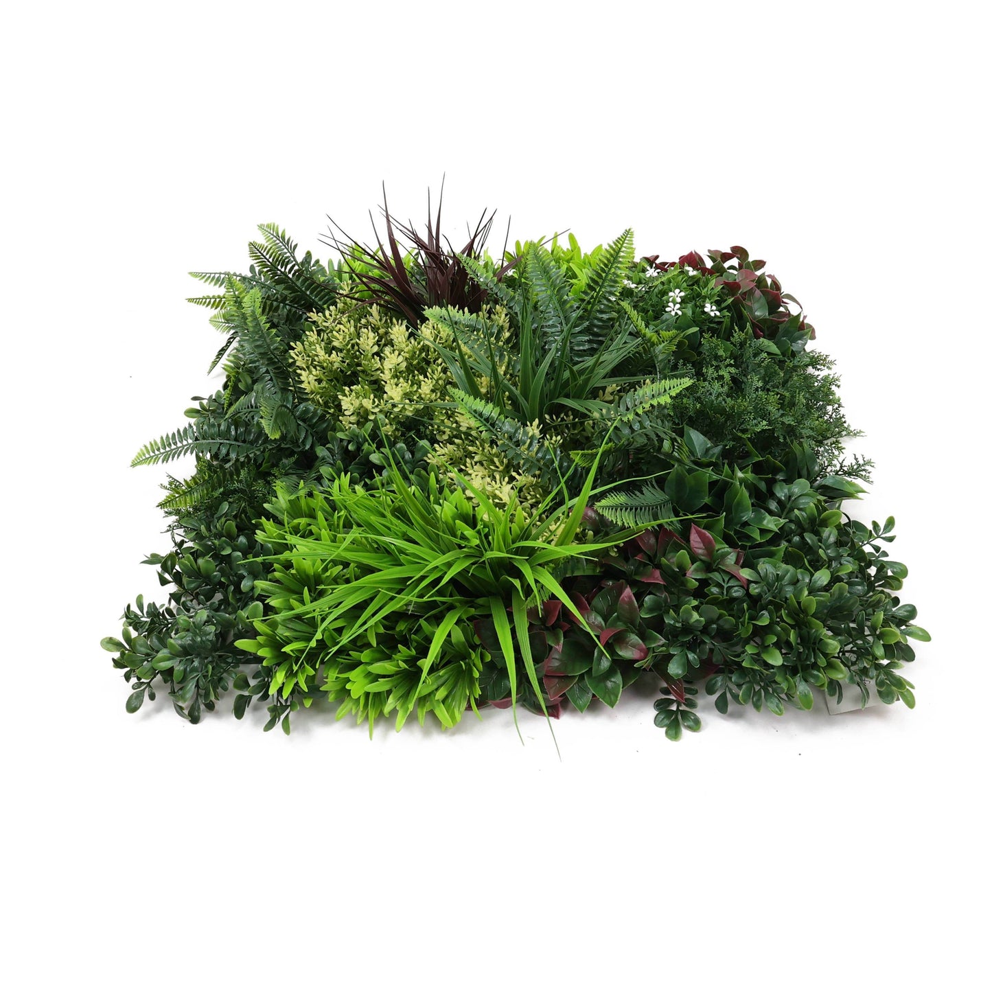 Premium Artificial Plants Green Wall Panel 50 x 50cm - Carnival D - Evergreenery