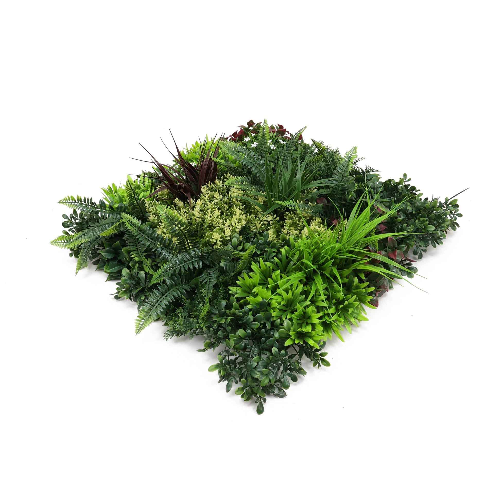 Premium Artificial Plants Green Wall Panel 50 x 50cm - Carnival D - Evergreenery