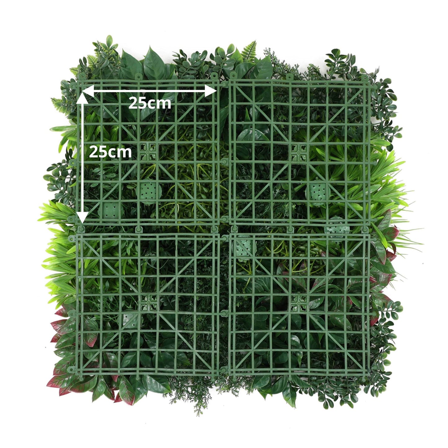 Premium Artificial Plants Green Wall Panel 50 x 50cm - Carnival D - Evergreenery
