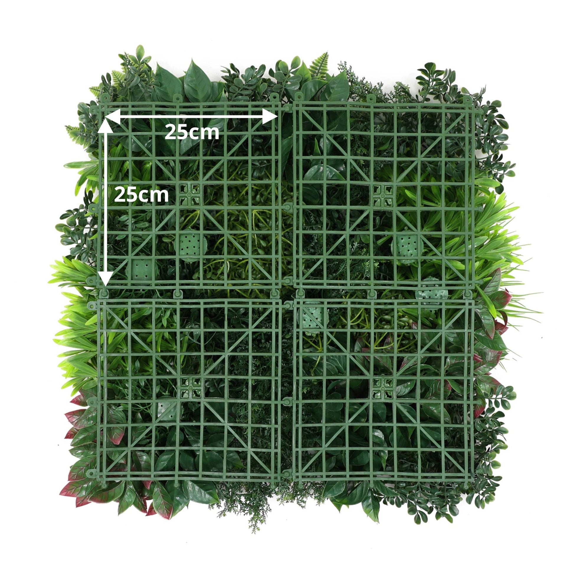 Premium Artificial Plants Green Wall Panel 50 x 50cm - Carnival D - Evergreenery