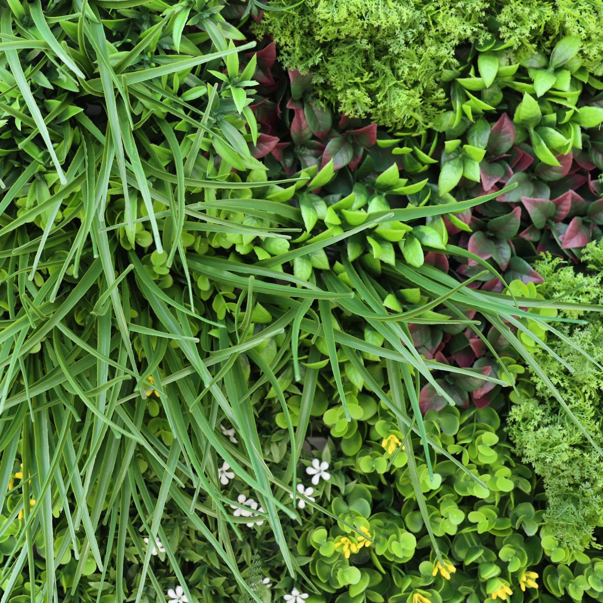 Premium Artificial Plants Green Wall Panel 1m x 1m - Tuscany - Evergreenery