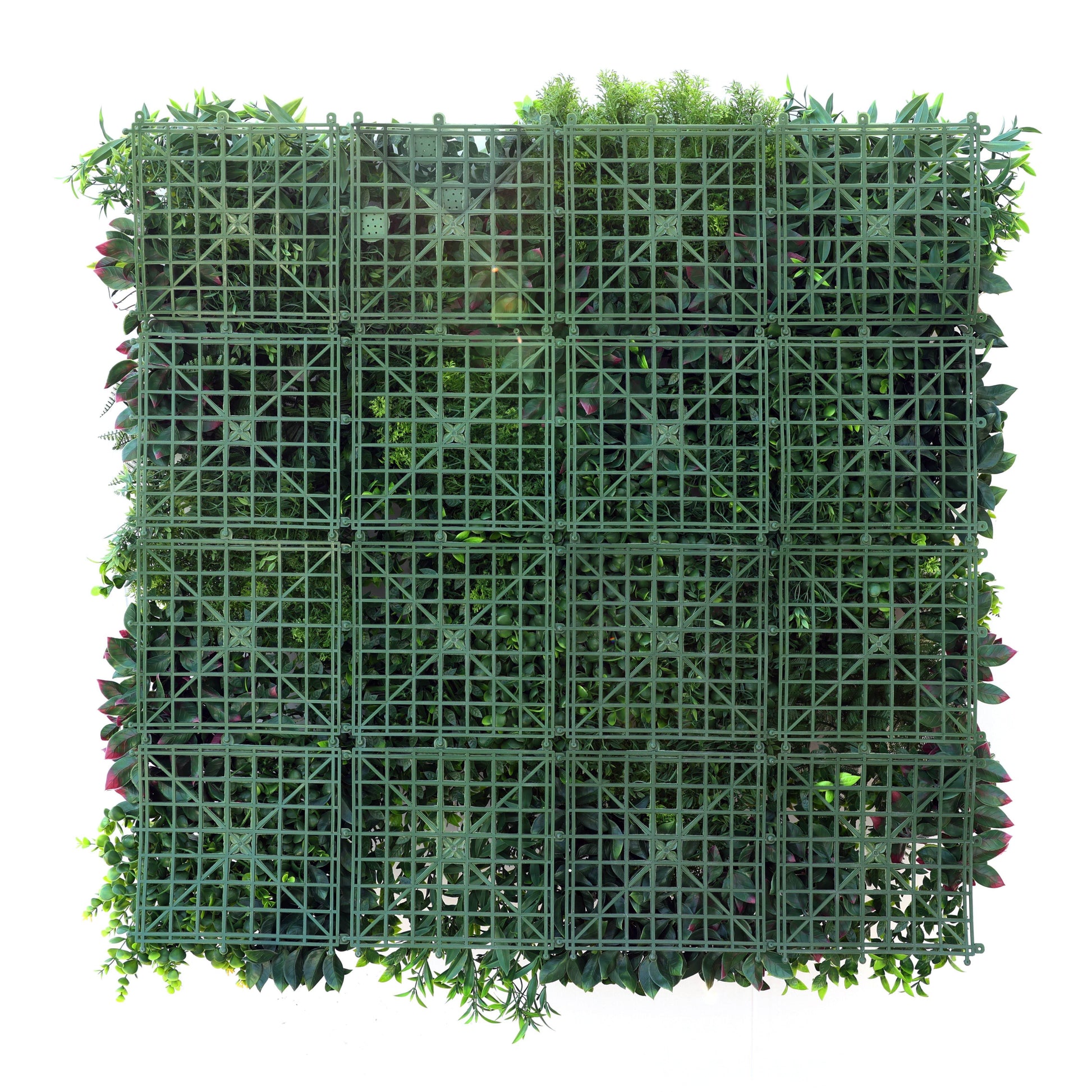 Premium Artificial Plants Green Wall Panel 1m x 1m - Tuscany - Evergreenery