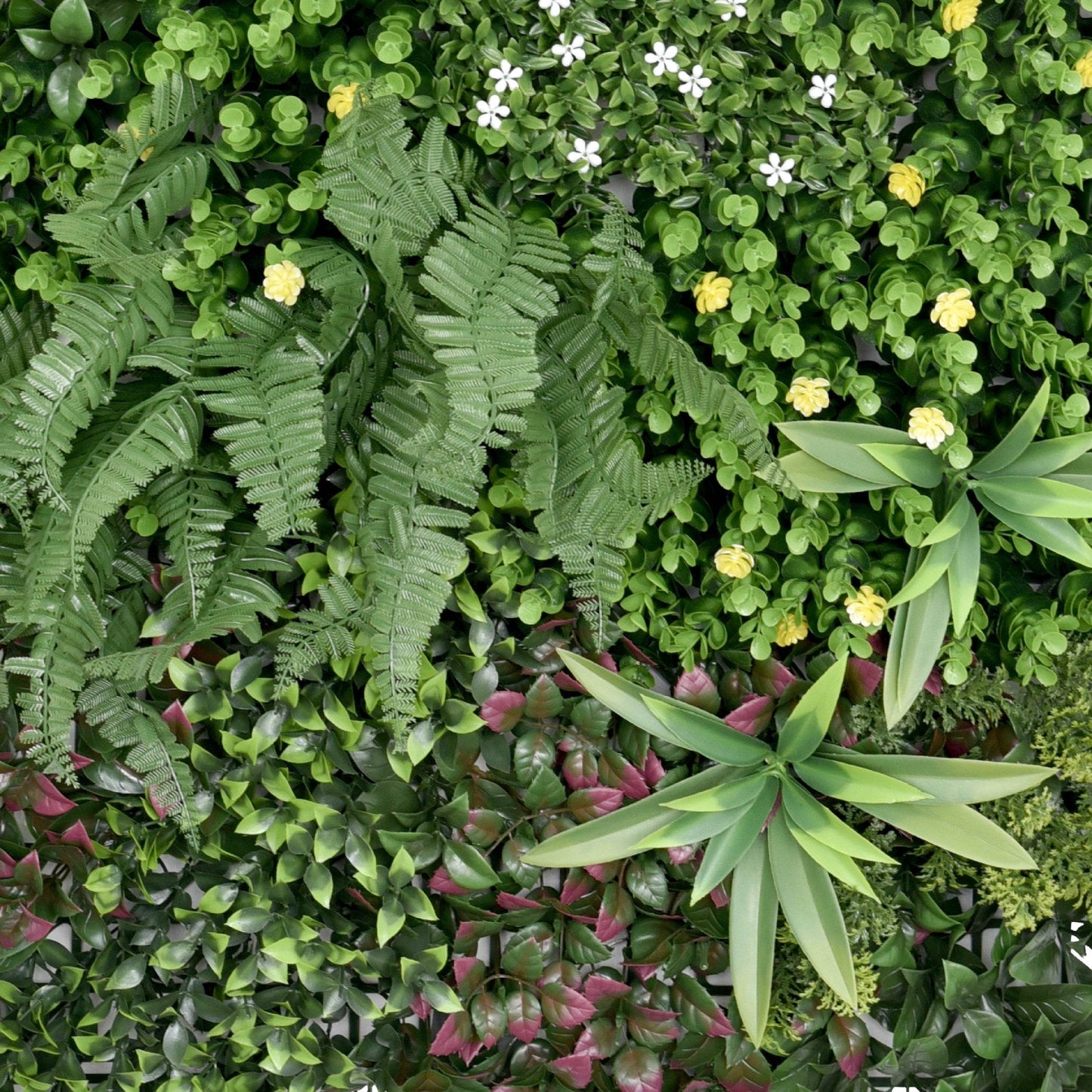 Premium Artificial Plants Green Wall Panel 1m x 50cm - Wonderland - Evergreenery