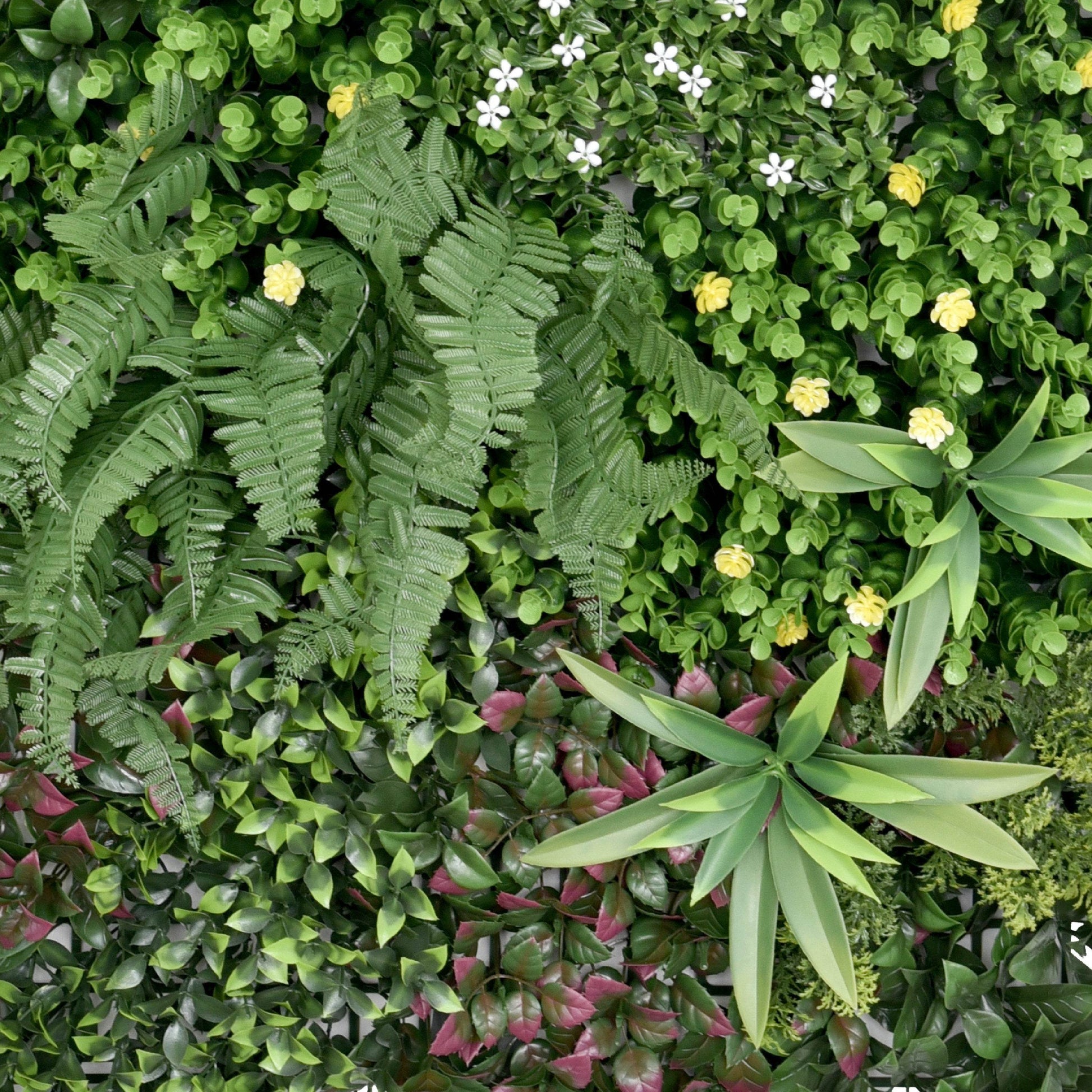 Premium Artificial Plants Green Wall Panel 1m x 50cm - Wonderland - Evergreenery