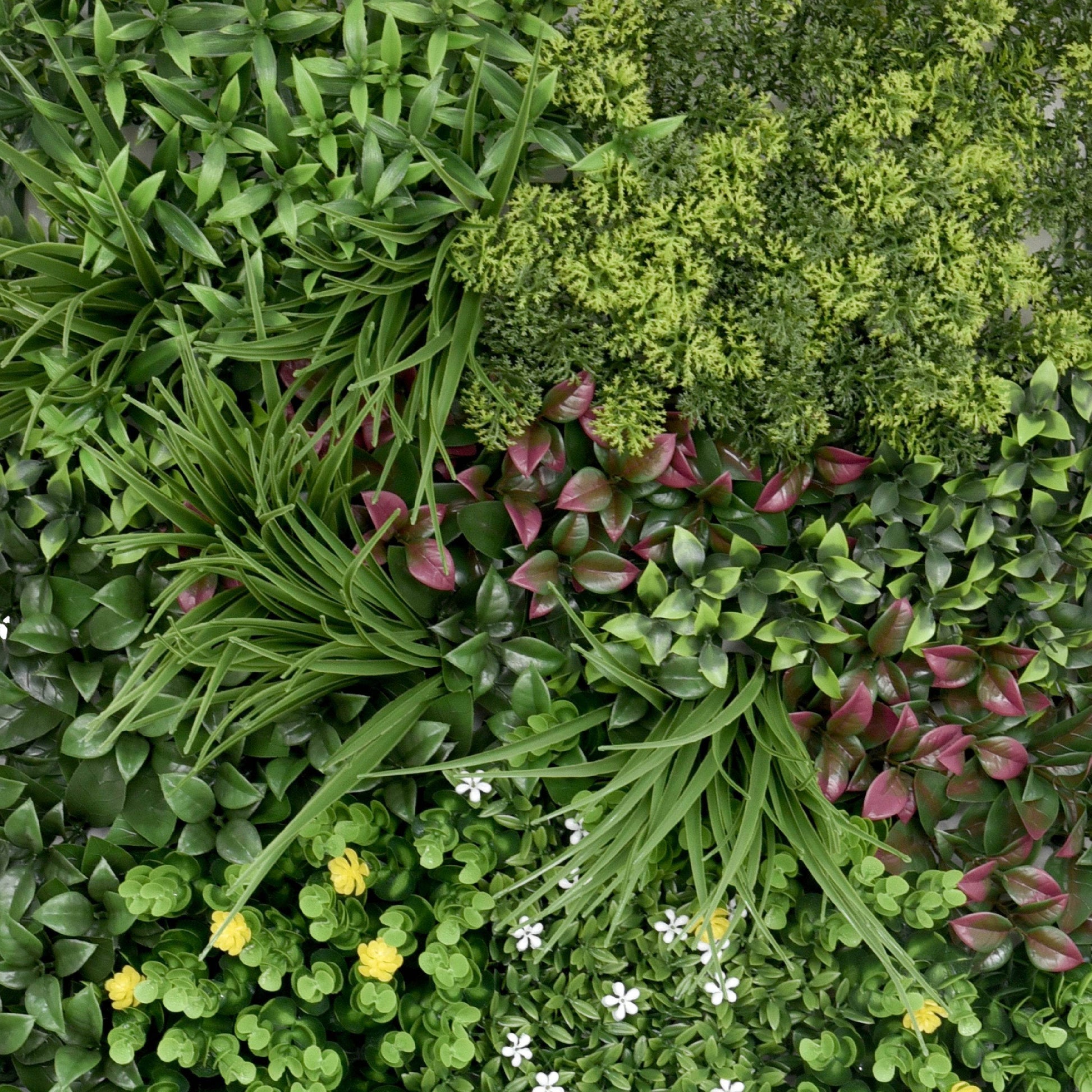 Premium Artificial Plants Green Wall Panel 1m x 50cm - Wonderland - Evergreenery