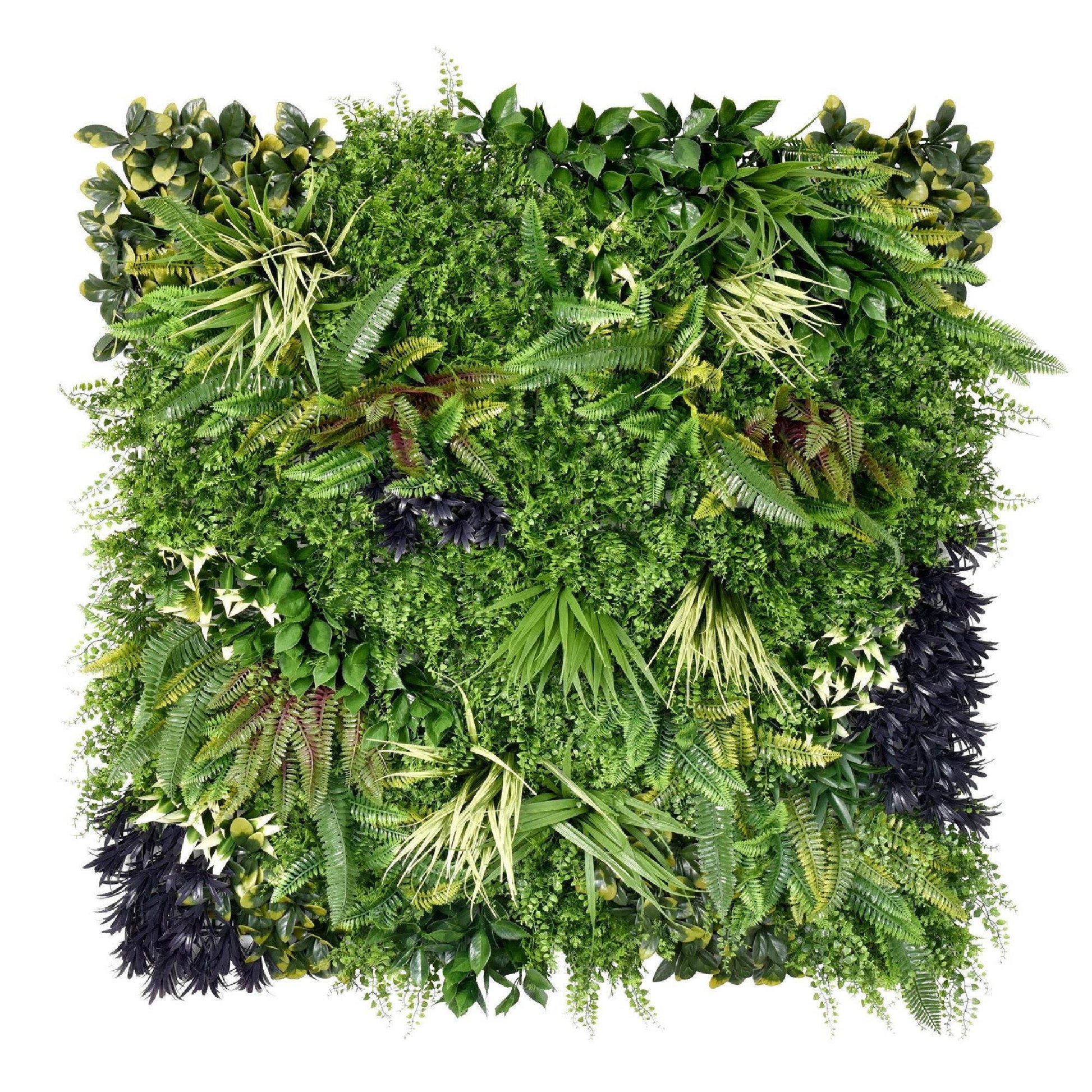 Premium Artificial Plants Green Wall Panel 1m x 1m - Charm B - Evergreenery