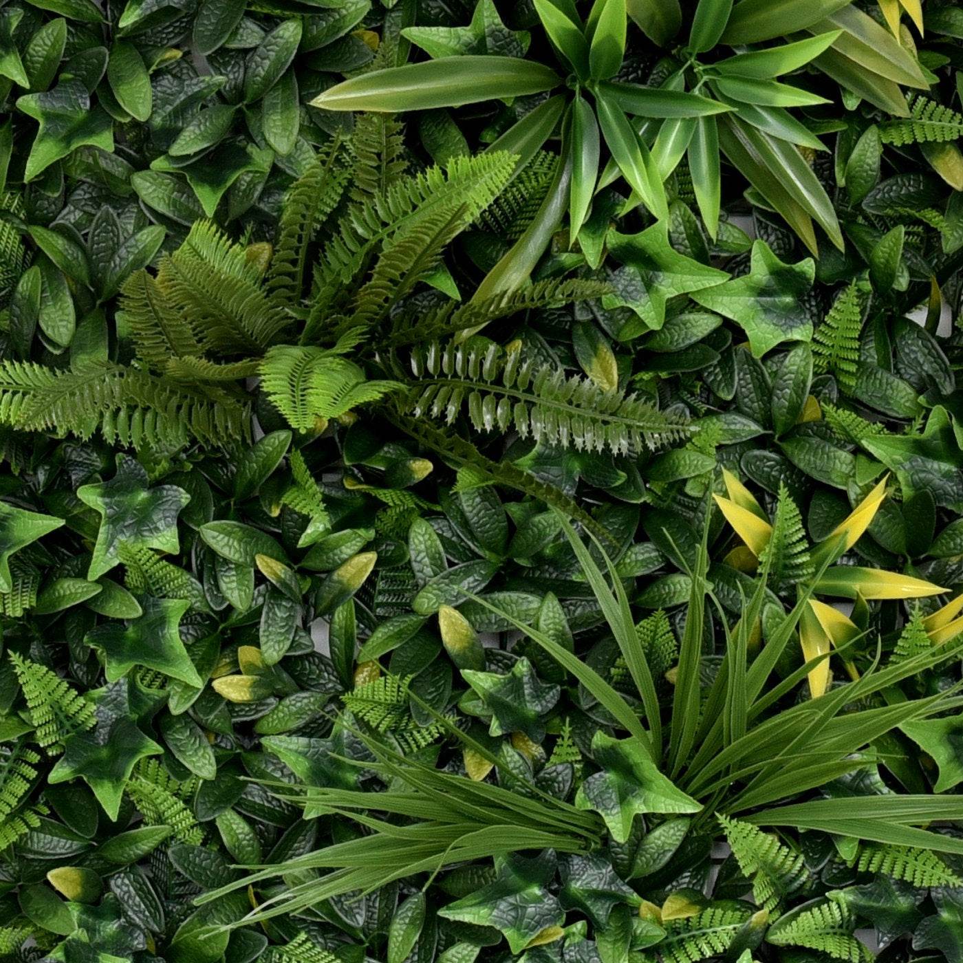 Premium Artificial Plants Green Wall Panel 1m x 50cm - Green Dream - Evergreenery