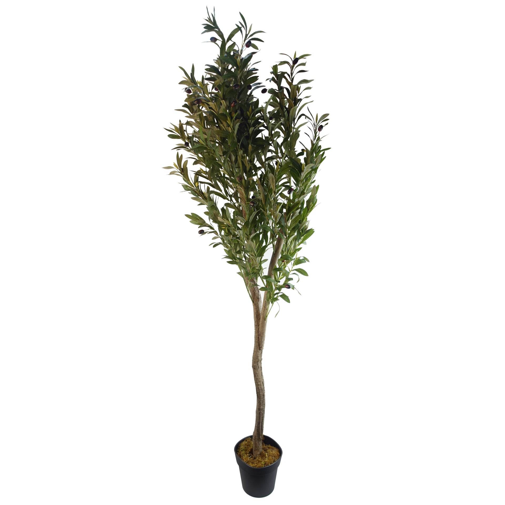 Artificial Olive Tree Faux Silk Lifelike Leaves 150cm - Evergreenery