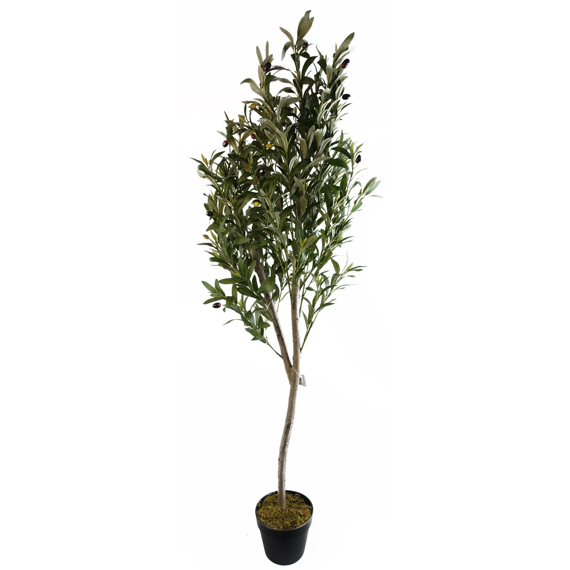 Artificial Olive Tree Faux Silk Lifelike Leaves 180cm - Evergreenery