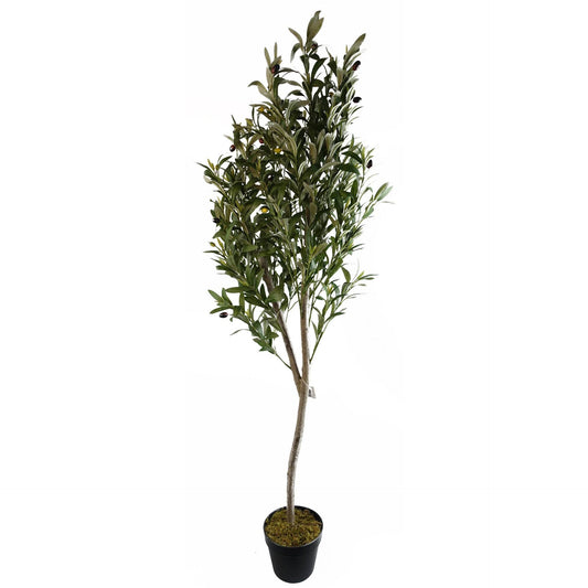 Artificial Olive Tree Faux Silk Lifelike Leaves 180cm - Evergreenery