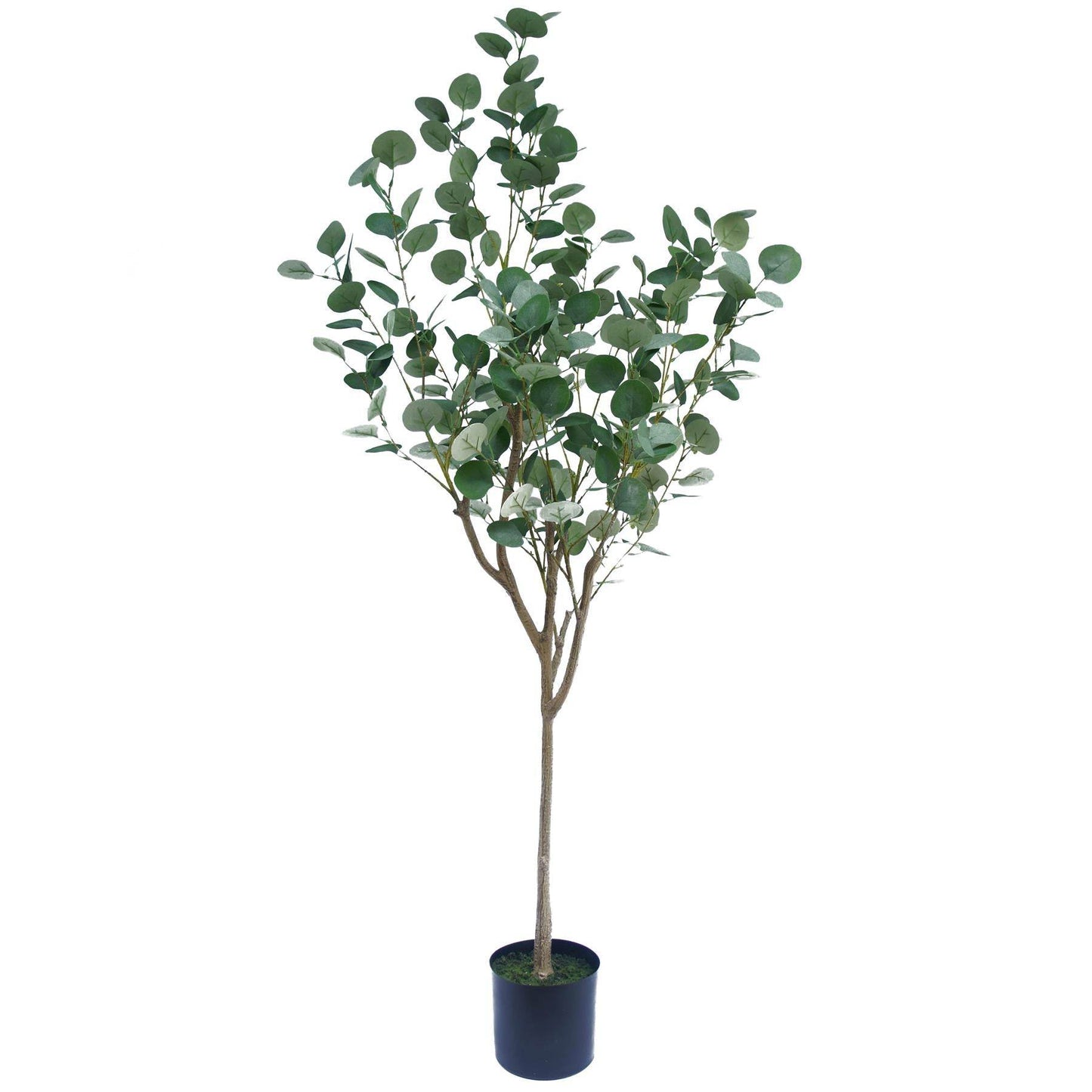 Premium Artificial Eucalyptus Tree Faux Silver Dollar Leaves 150cm - Evergreenery