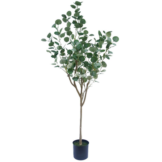 Premium Artificial Eucalyptus Tree Faux Silver Dollar Leaves 150cm - Evergreenery