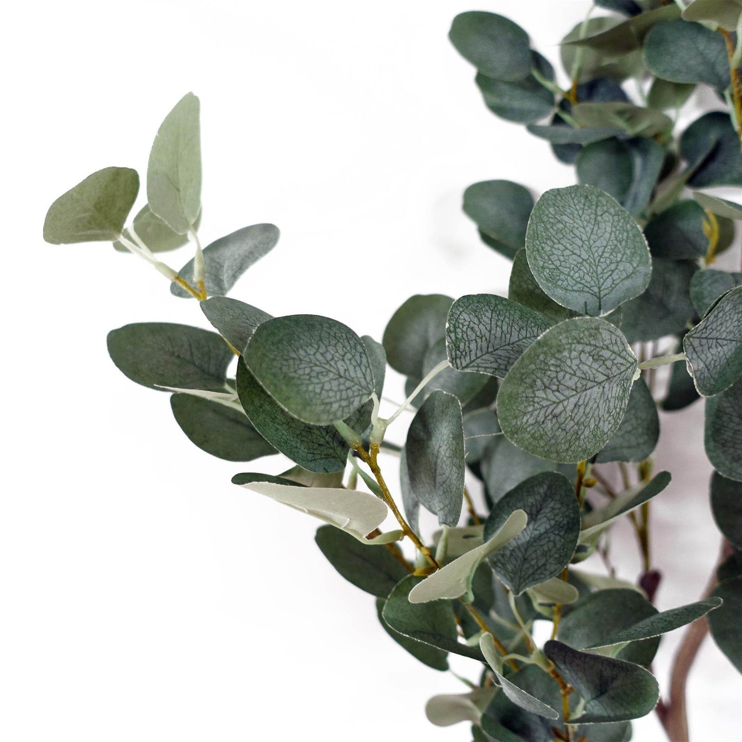 Premium Artificial Eucalyptus Tree Faux Silver Dollar Leaves 150cm - Evergreenery