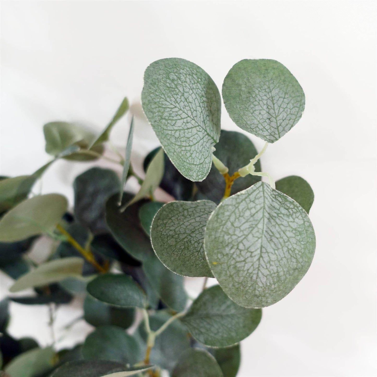 Premium Artificial Eucalyptus Tree Faux Silver Dollar Leaves 150cm - Evergreenery