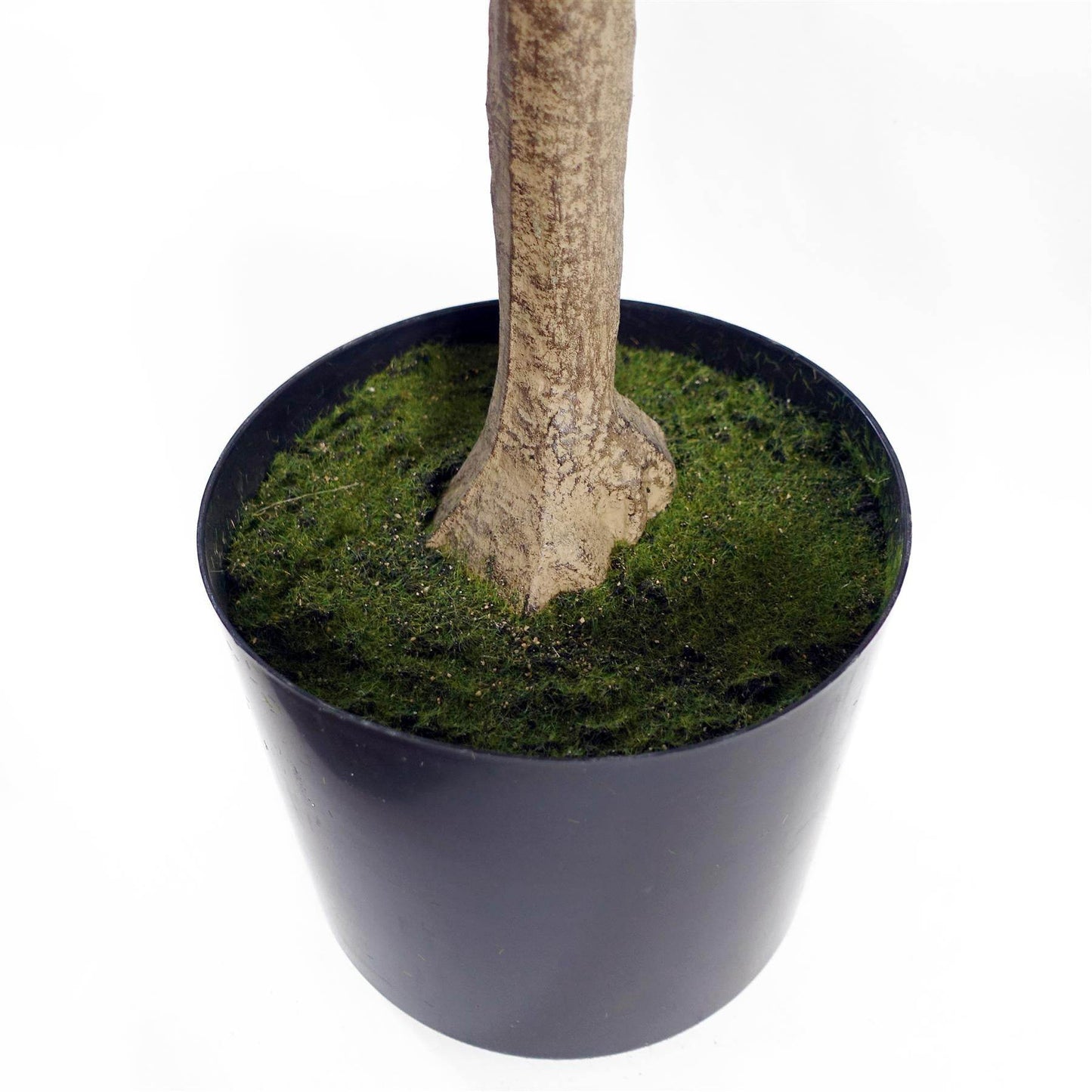 Premium Artificial Eucalyptus Tree Faux Silver Dollar Leaves 150cm - Evergreenery