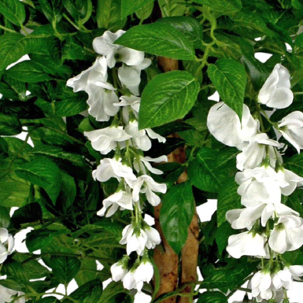 Artificial Wisteria Tree White Faux Silk Flowers 130cm - Evergreenery