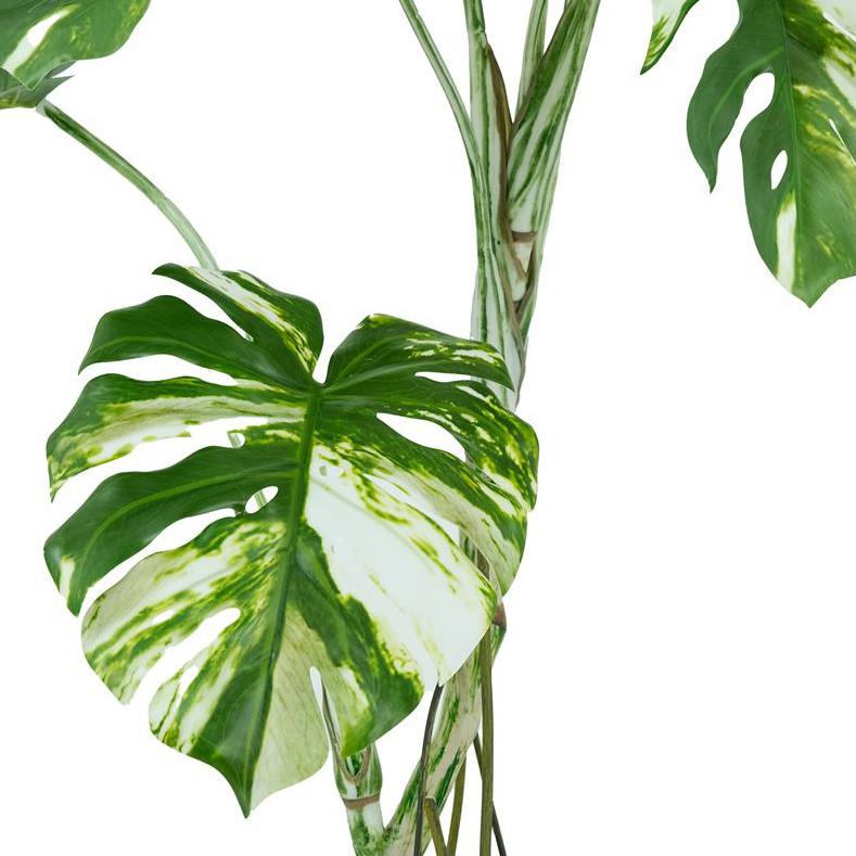 Artificial Variegated Monstera Plant 120cm