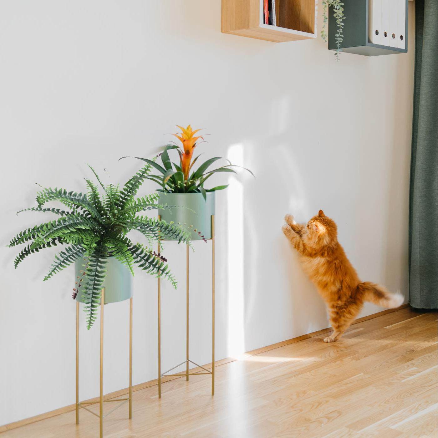Artificial Boston Fern Plant 60cm - Evergreenery