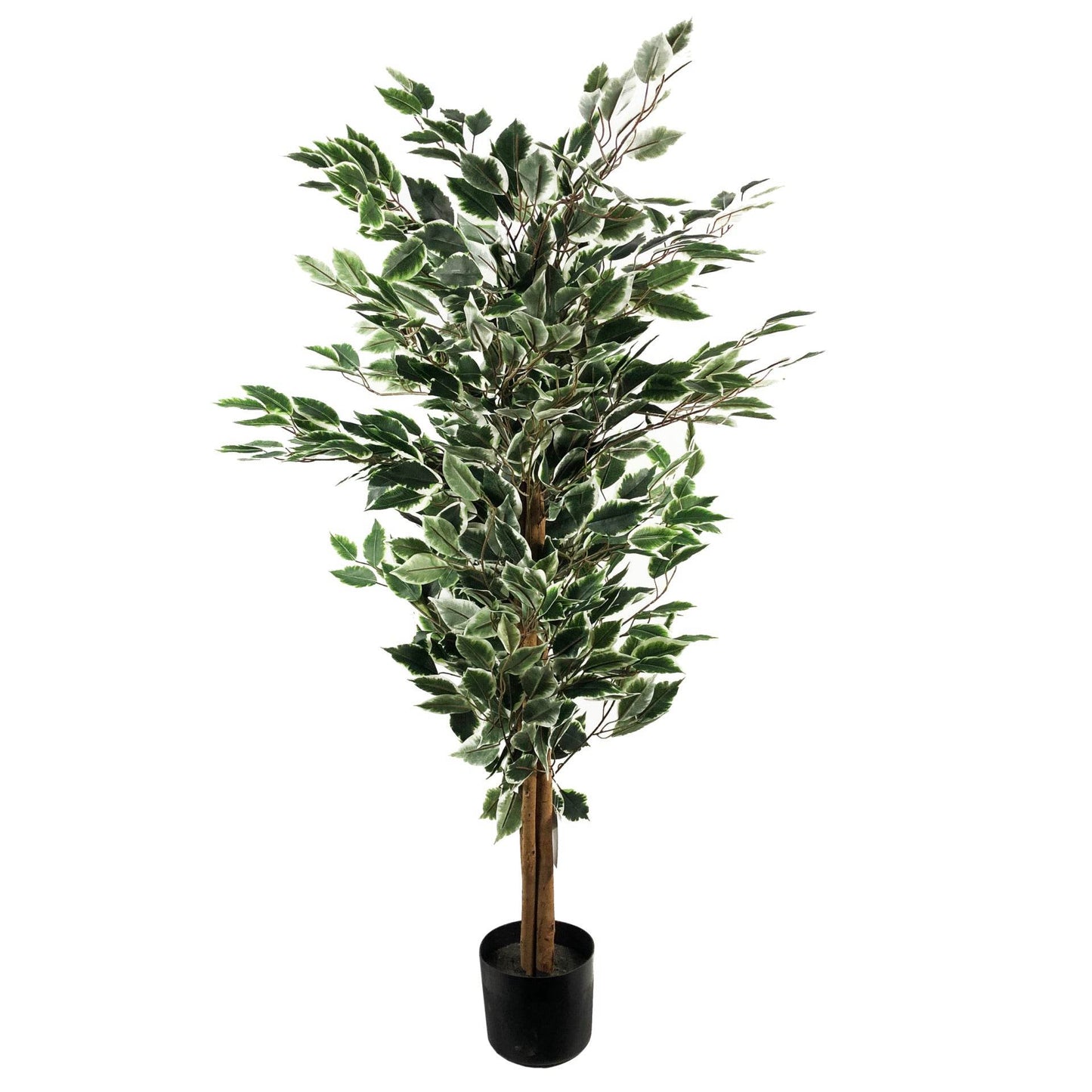 Artificial Variegated Ficus Tree Large Bushy Shape 130cm - Evergreenery