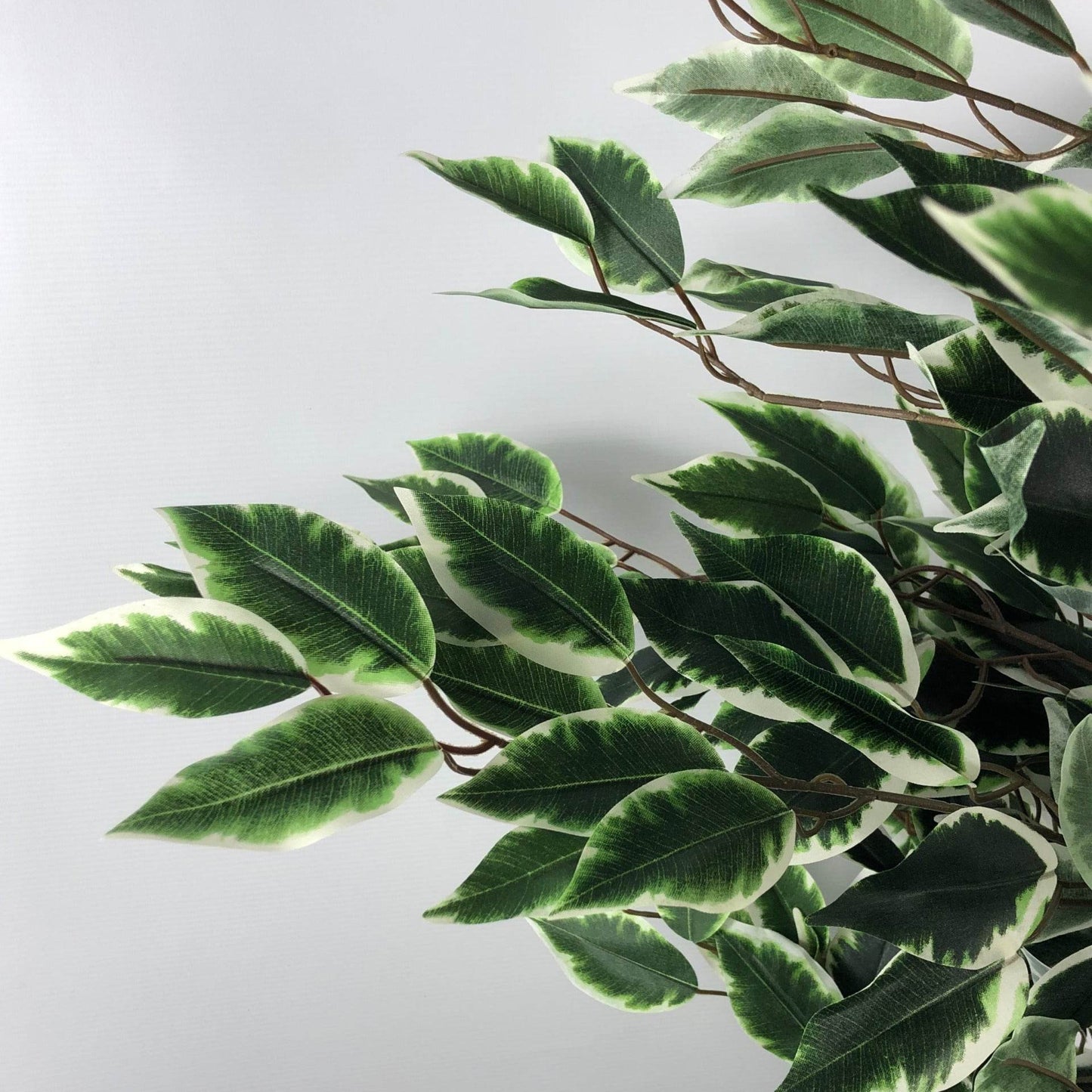 Artificial Variegated Ficus Tree Large Bushy Shape 130cm - Evergreenery
