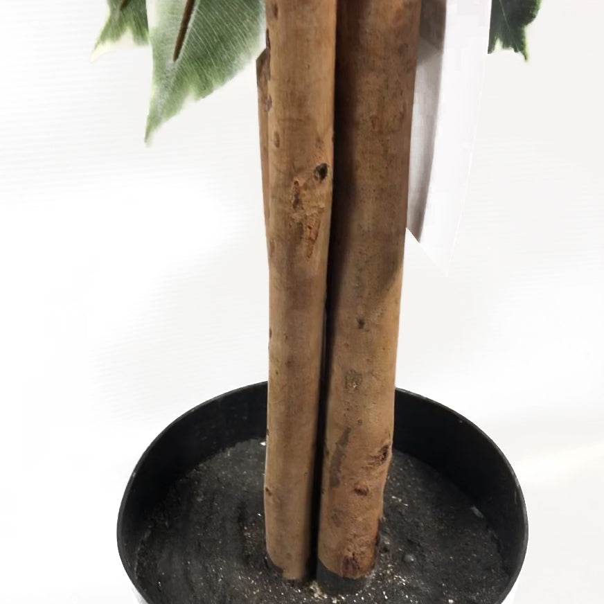 Artificial Variegated Ficus Tree Large Bushy Shape 130cm - Evergreenery
