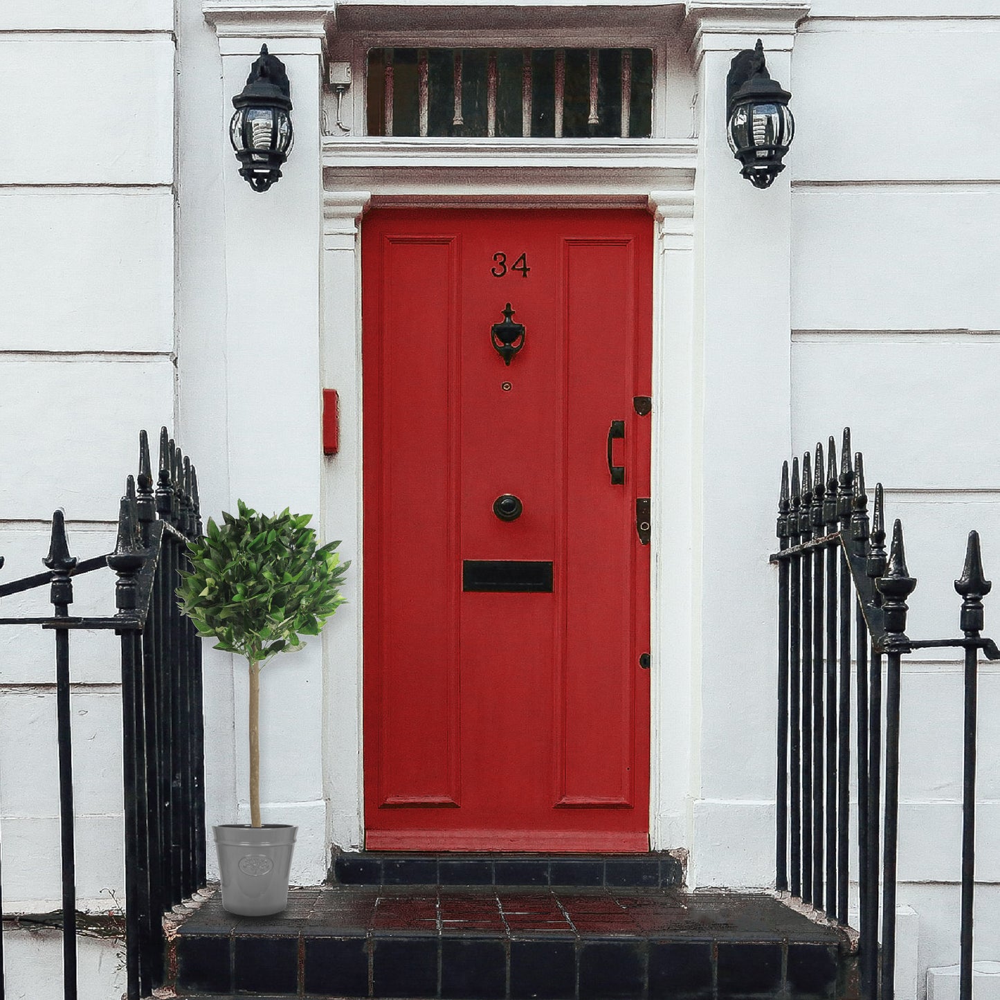 Artificial Topiary Bay Tree with Natural Trunk by Red Door London