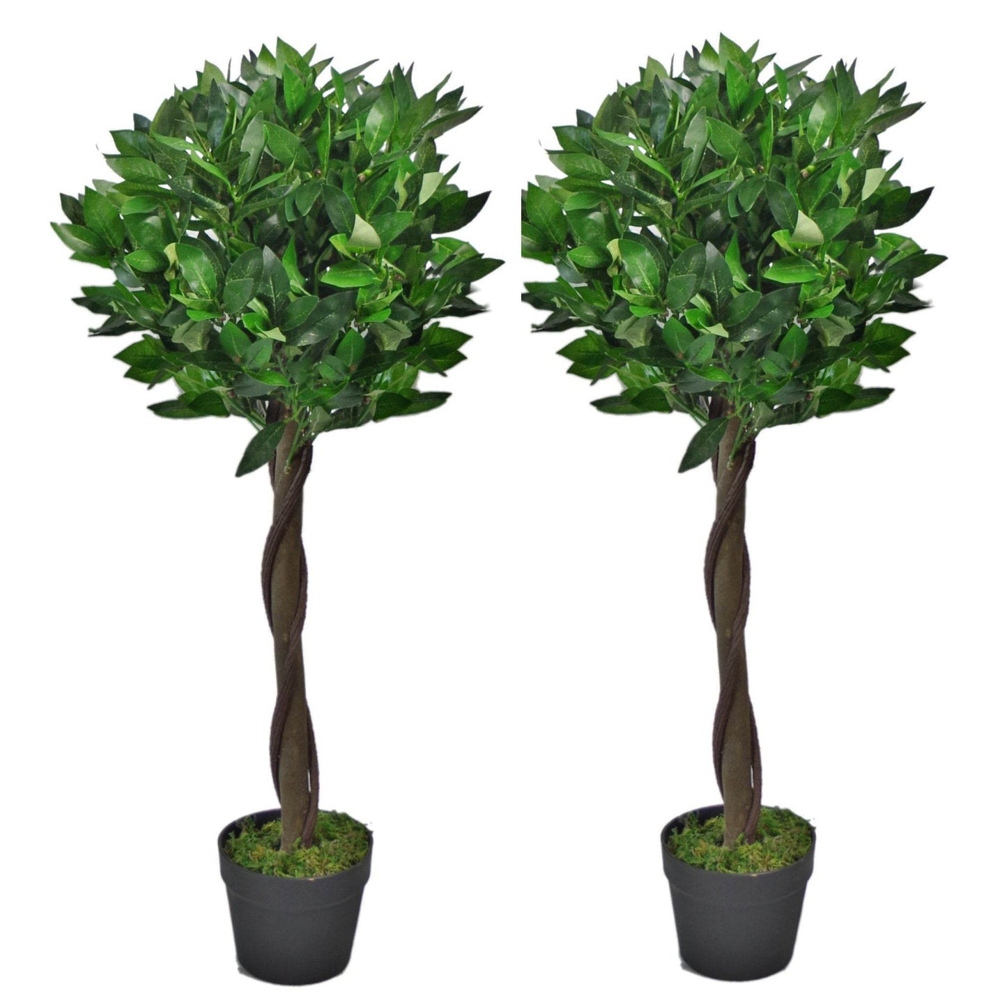 Pair of Artificial Topiary Bay Trees with Twisted Natural Trunk 90cm - Evergreenery