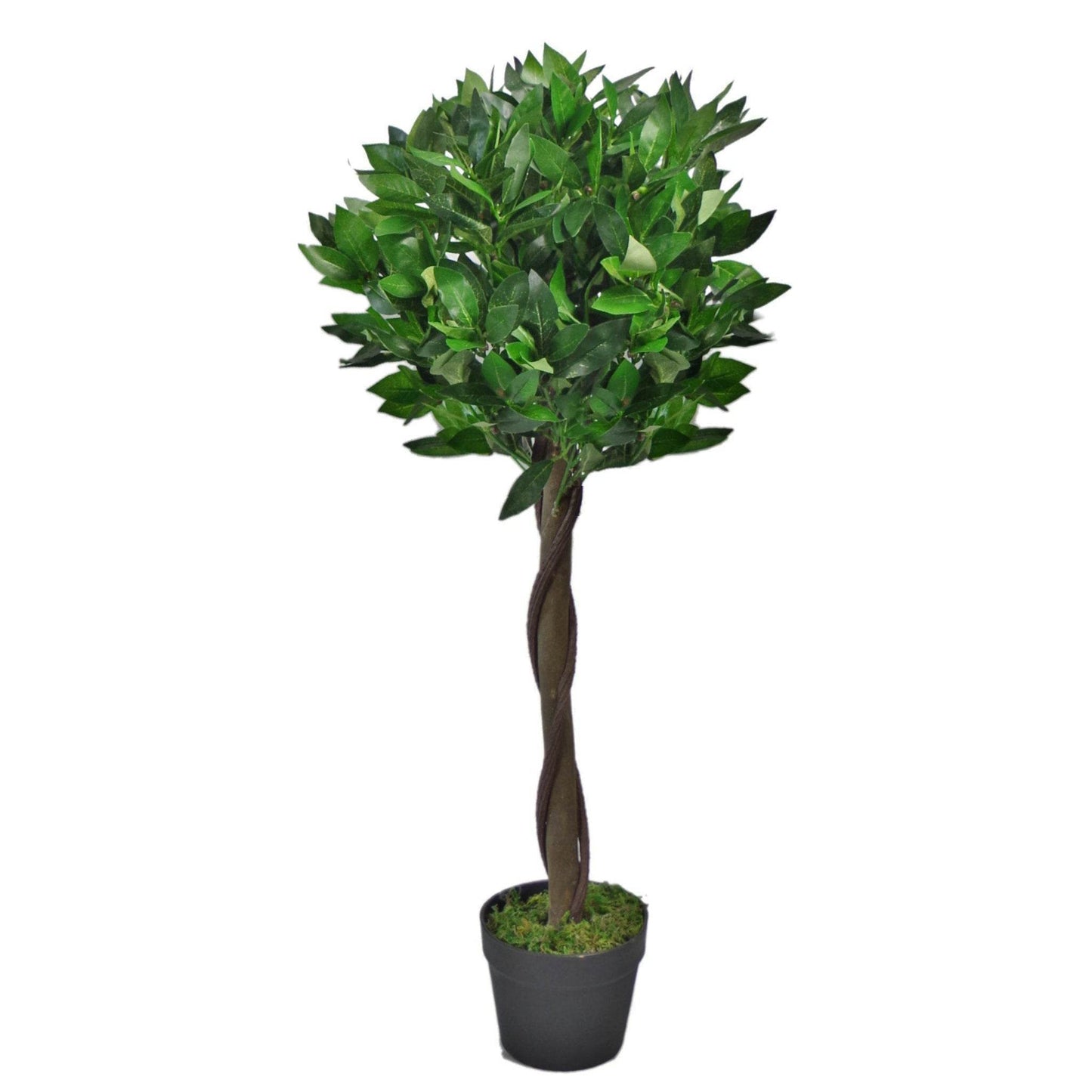 Artificial Topiary Bay Tree with Twisted Natural Trunk 90cm - Evergreenery