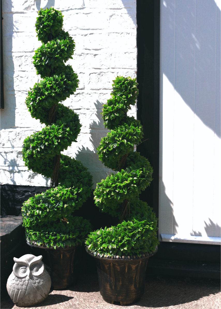 Spiral Large Leaf Boxwood Topiary Tree with Decorative Planter 90cm - Evergreenery
