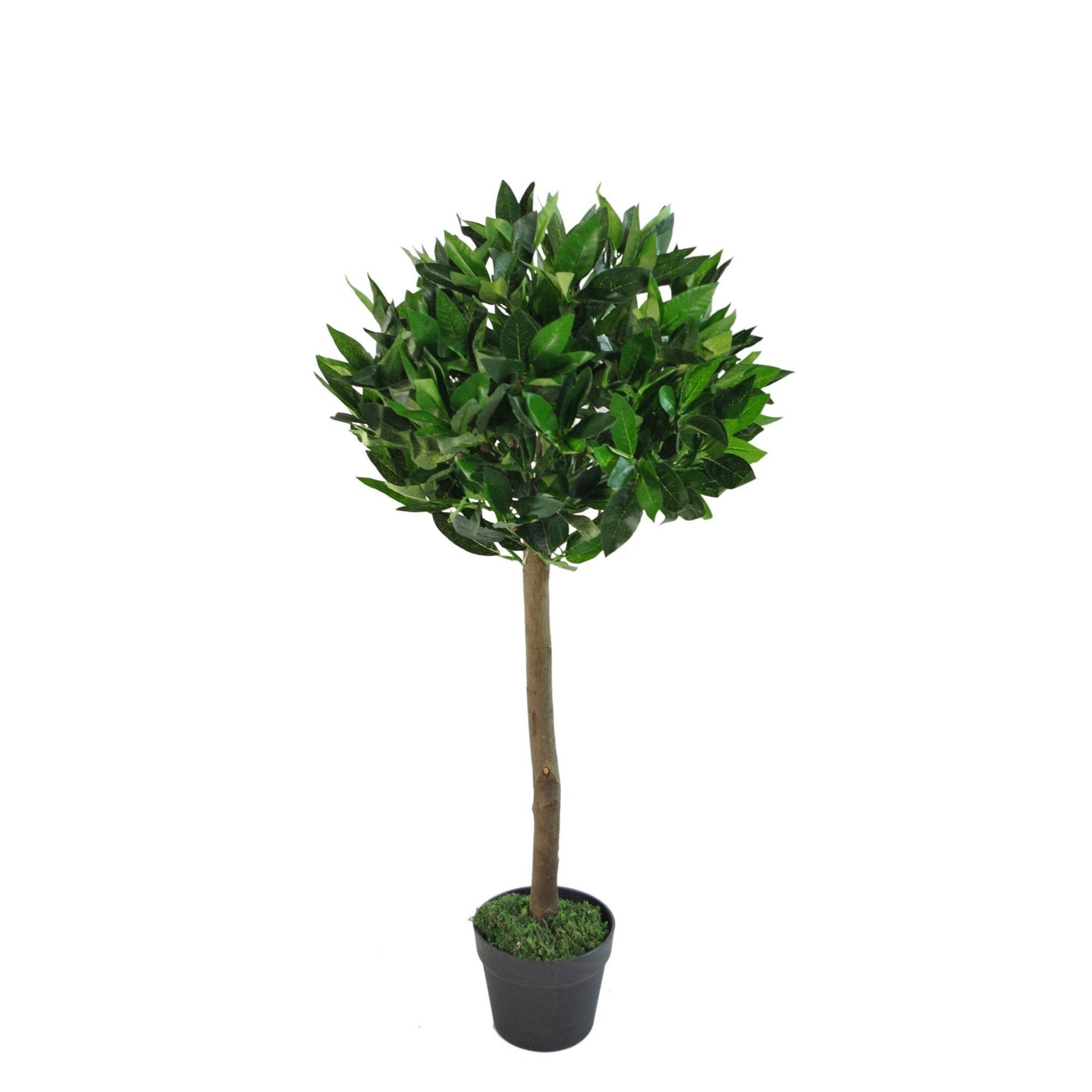Artificial Topiary Bay Tree with Natural Trunk 90cm - Evergreenery