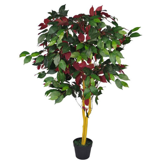 Artificial Capensia Ficus Tree – Extra Large 120cm - Evergreenery