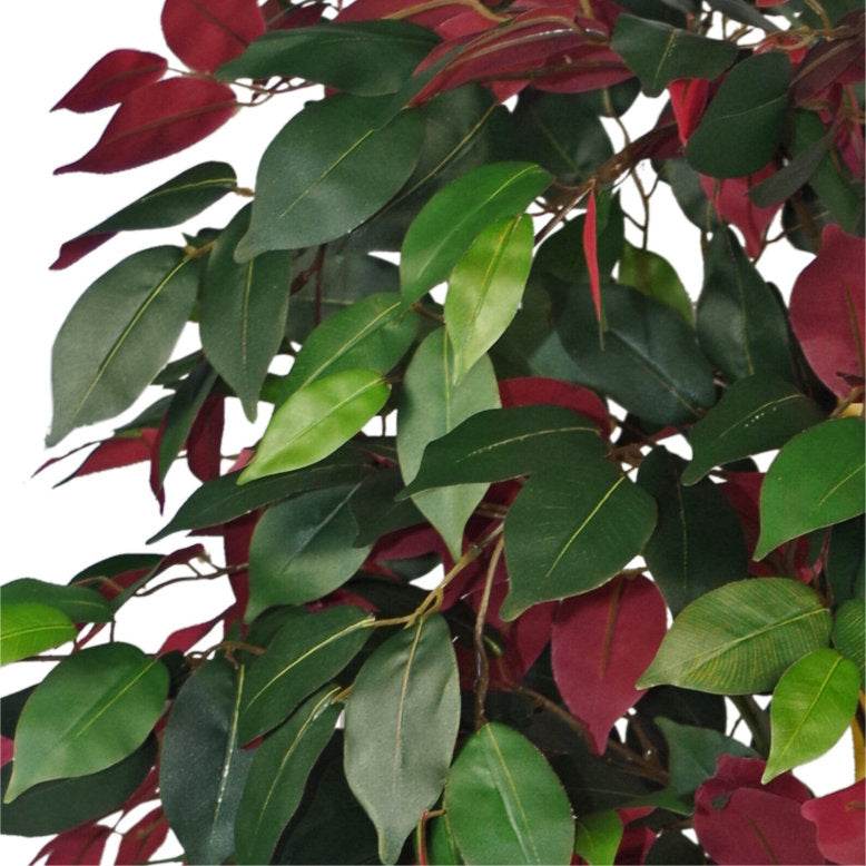 Artificial Capensia Ficus Tree – Extra Large 120cm - Evergreenery