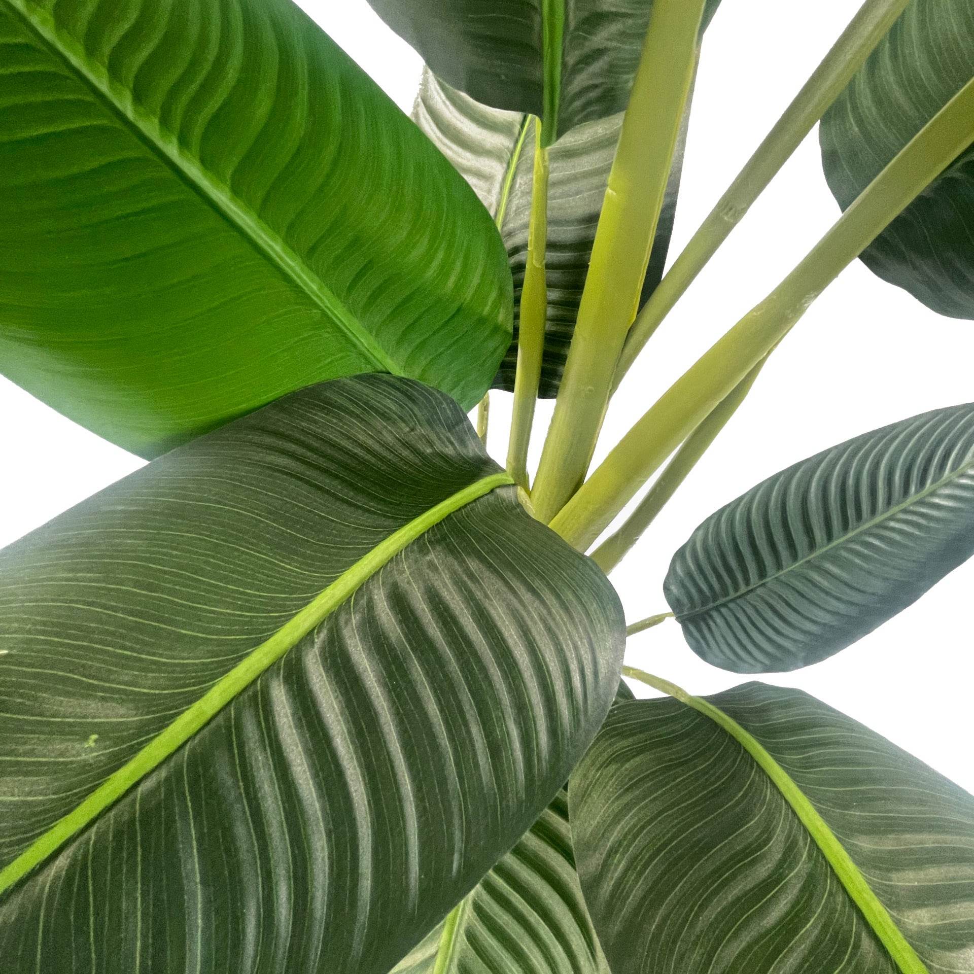 Artificial Traveller Banana Palm Tree 150cm UV Protected - Evergreenery