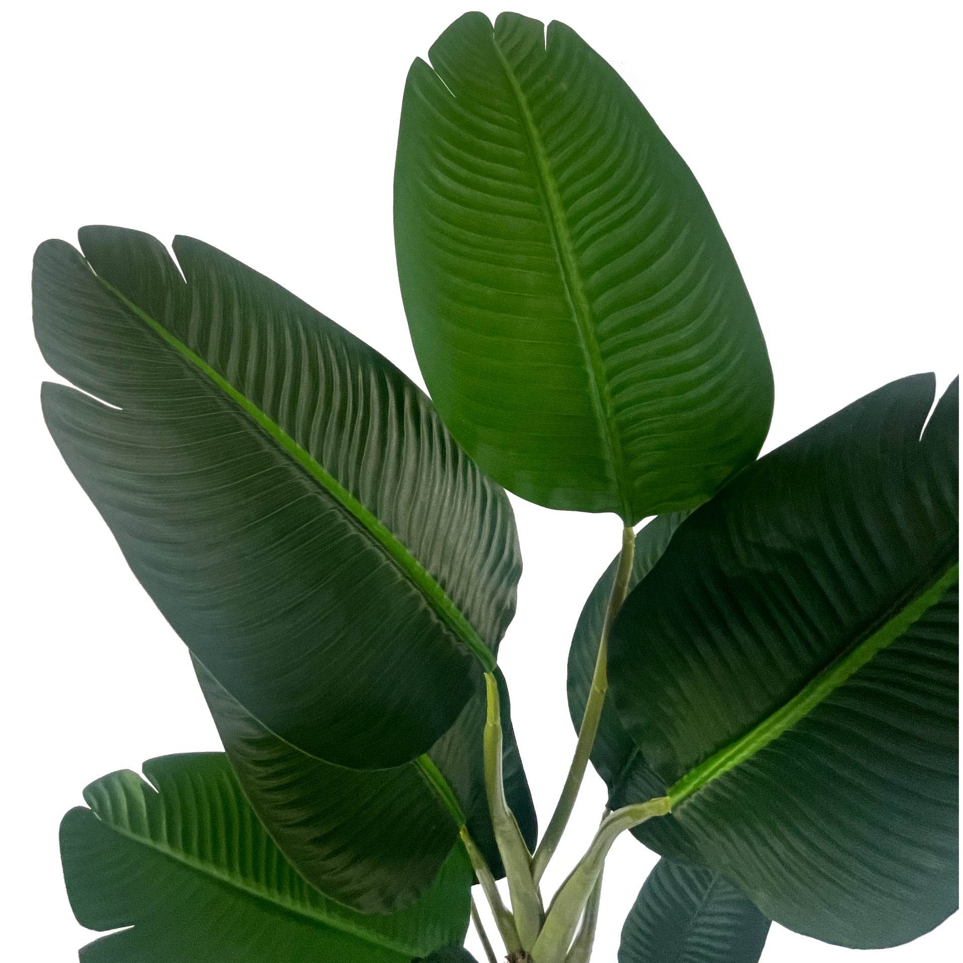 Artificial Traveller Banana Palm Tree 150cm UV Protected - Evergreenery