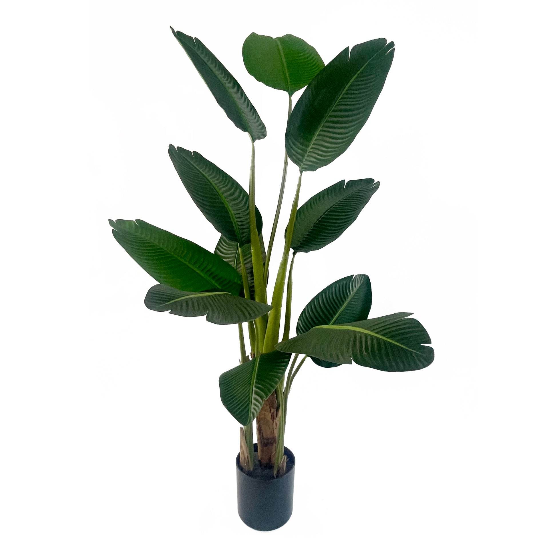 Artificial Traveller Banana Palm Tree 150cm UV Protected - Evergreenery
